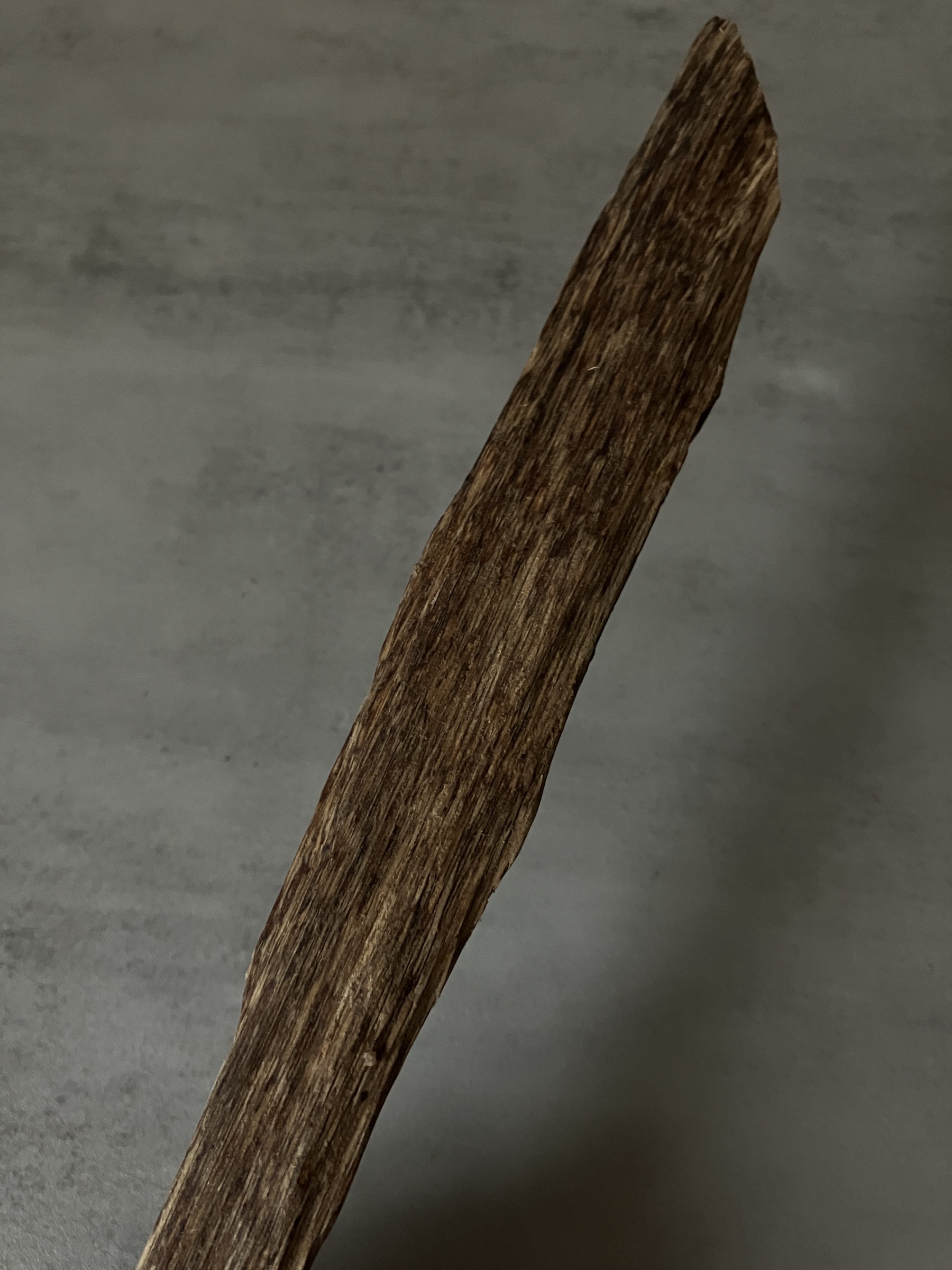 image_E20DE66D-CF10-4BFC-AA3D-915ED09640AE_1761117891