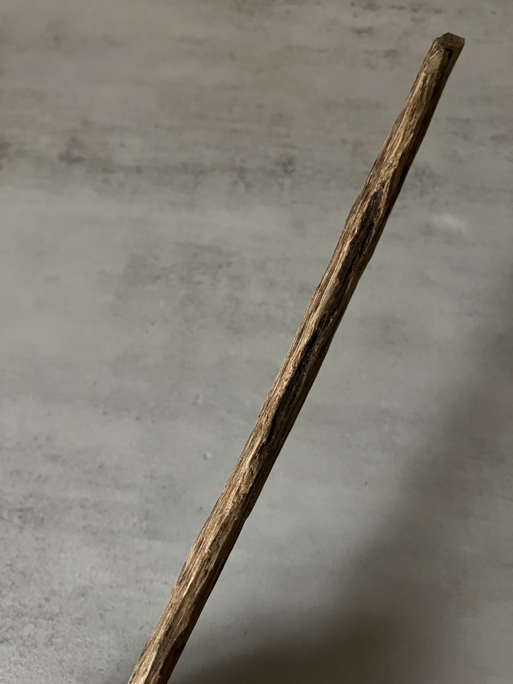 image_EBD55D81-BF23-4A90-88C4-FC42E8A23044_1761117891