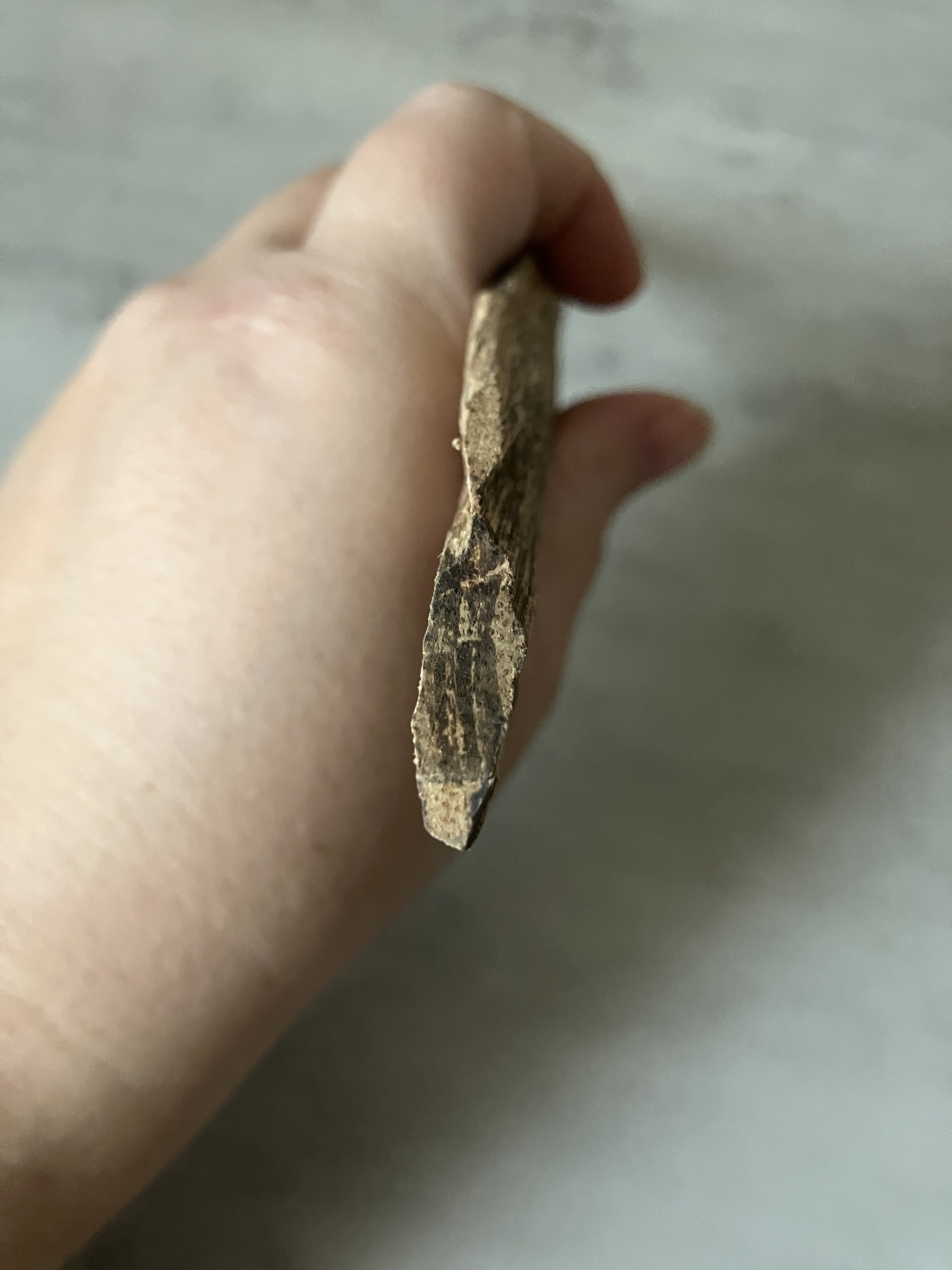 image_92F4DFBE-CDE2-4EF5-8F3D-A448FB21B127_1761117891