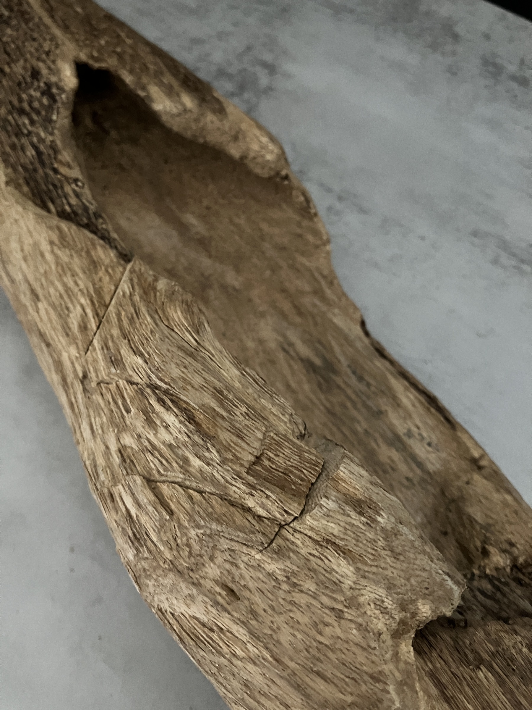 image_3BF9FB63-760C-4CBC-A7D6-DBB1D3783167_1761552880