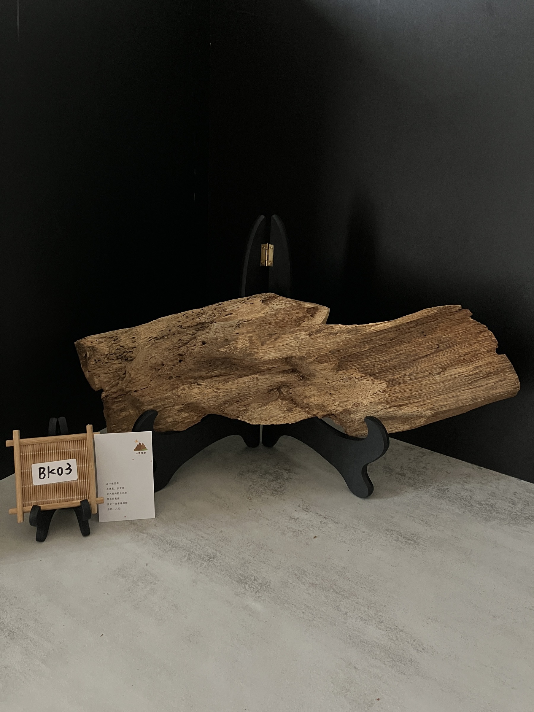 image_7EF25D0F-D0C3-4314-82ED-3600D2C4BE66_1761634593