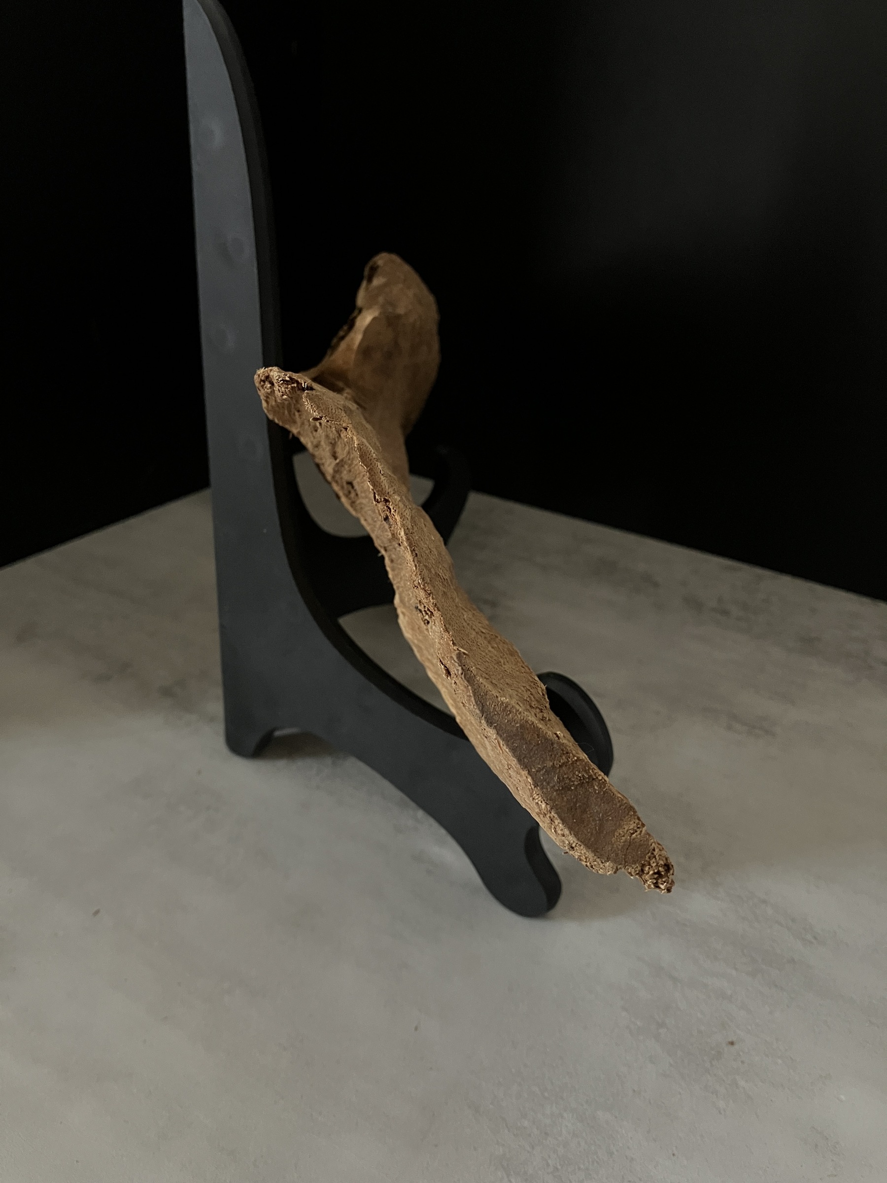 image_EC38F836-C6C0-478F-98F8-B8F78889CECF_1761634593