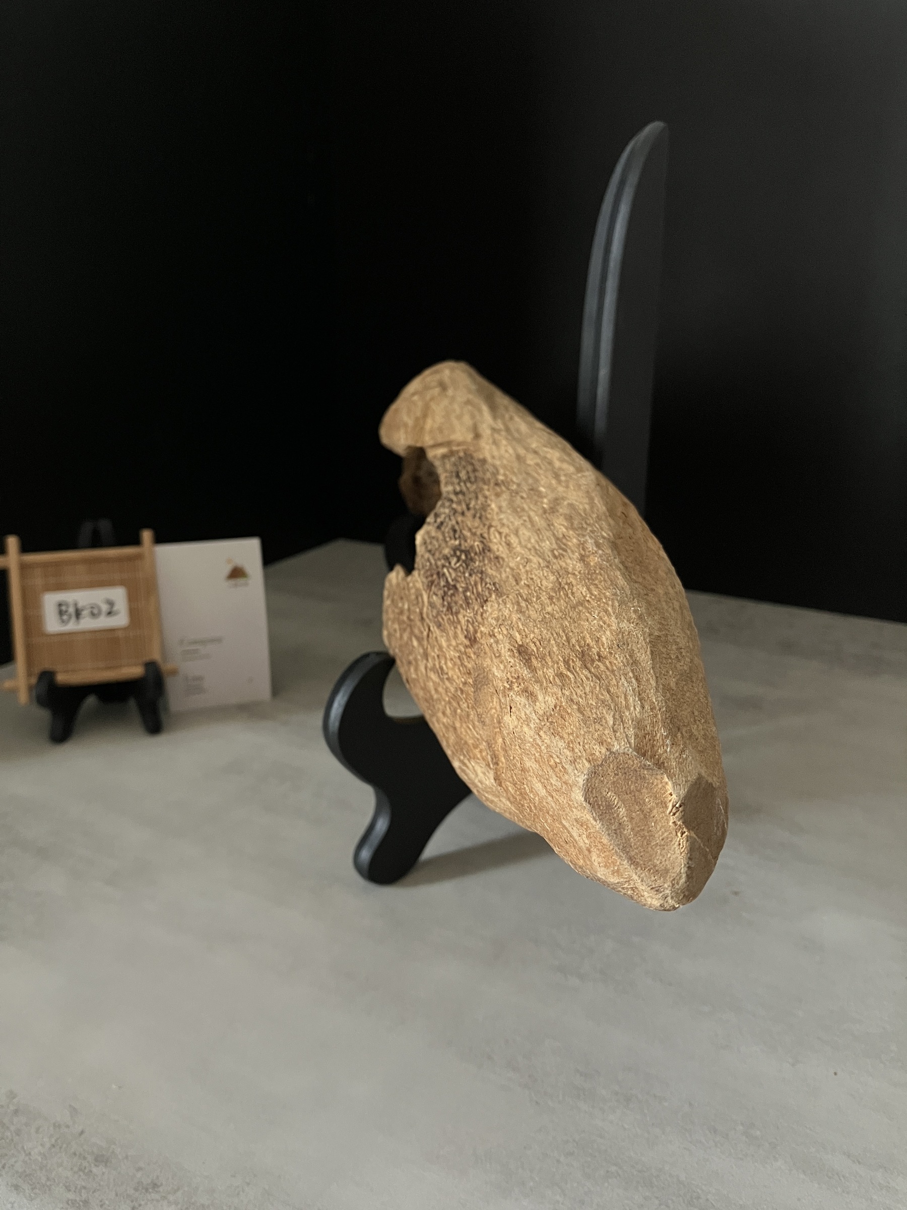 image_611CC40E-C9EB-4793-A965-C126A33D1704_1761634654