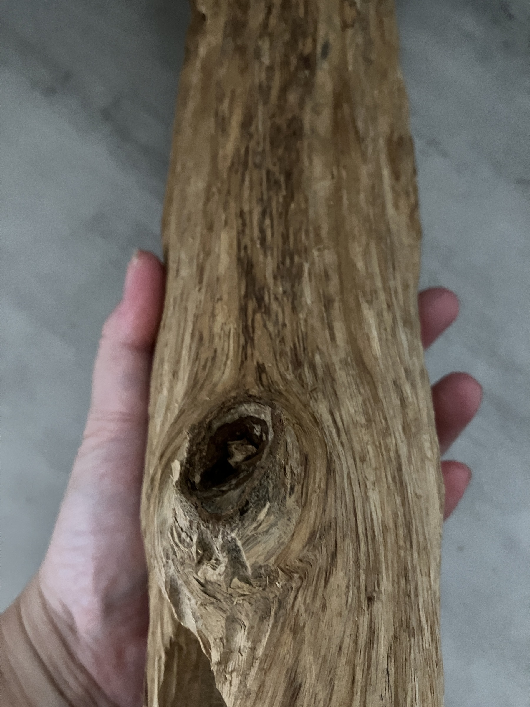 image_DF48C78F-8267-44E7-A25D-6C8F38EB7FB3_1761634717