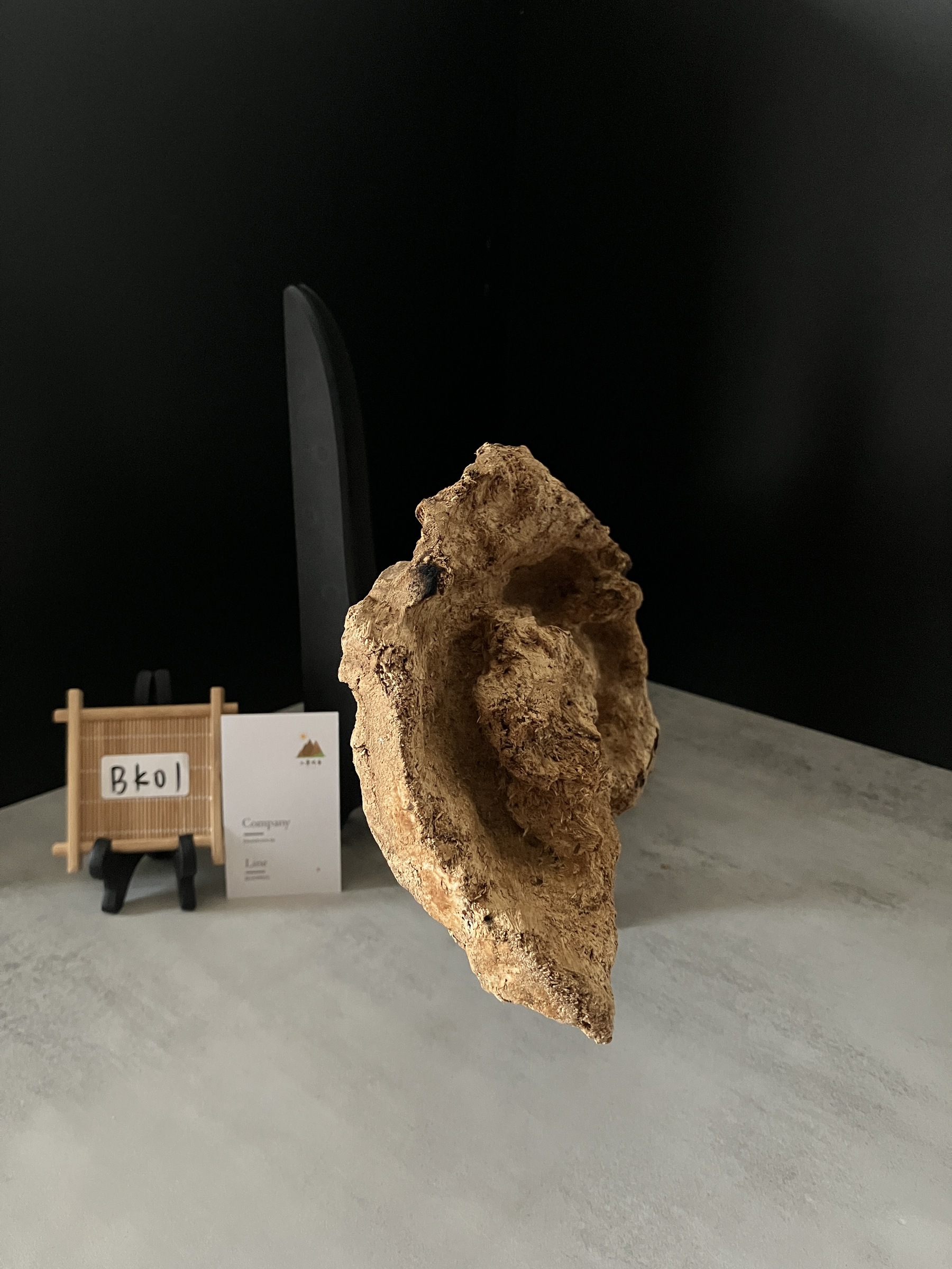 image_9A6438ED-F087-4A98-860A-8A580BB1B2D1_1761634717