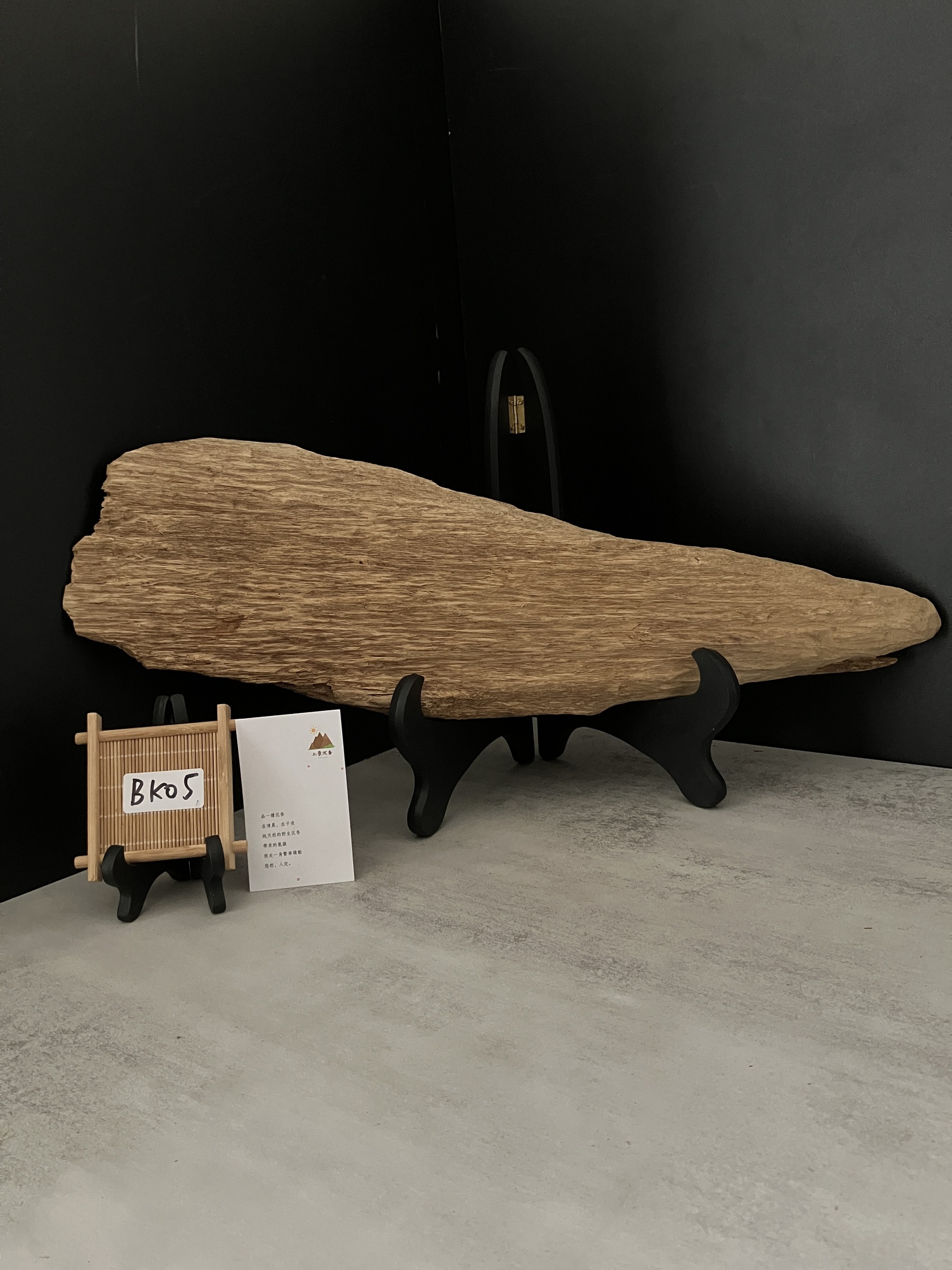 image_0539D0AF-01D6-43E3-8DD6-545BF85142CE_1761637408