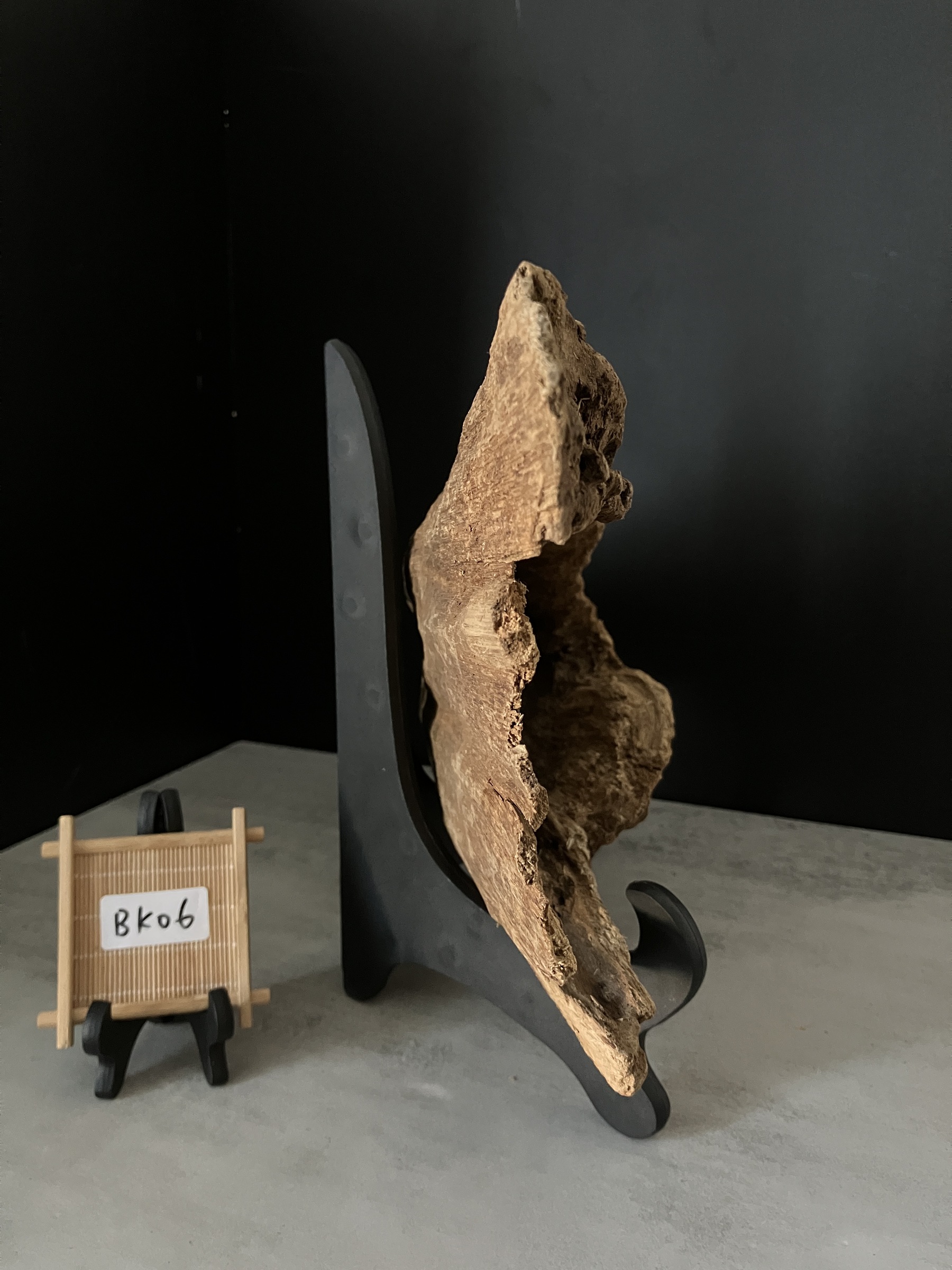 image_C22F64AA-AF28-406A-BB38-11E6B7192F2C_1761722301