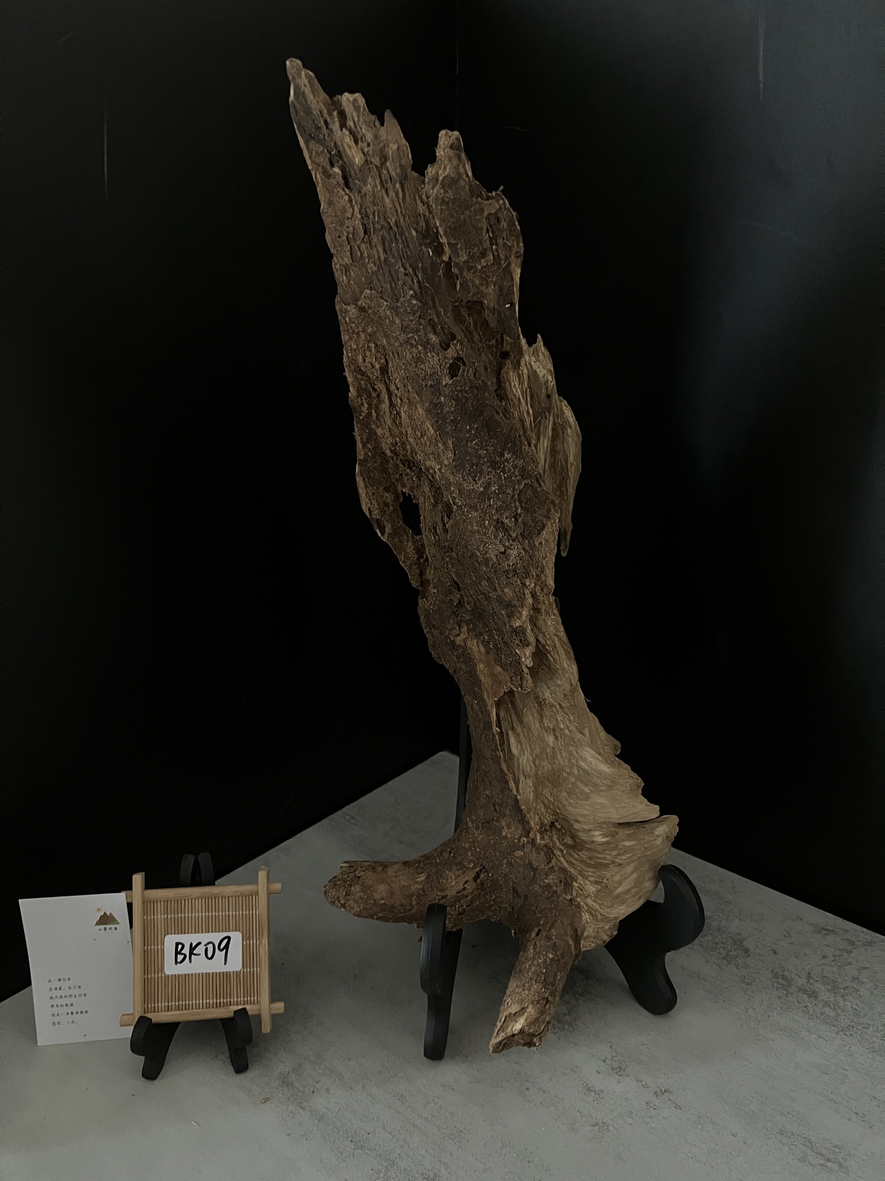 image_A3D731EB-AAFF-447E-9683-C4B2A7D01775_1761722640