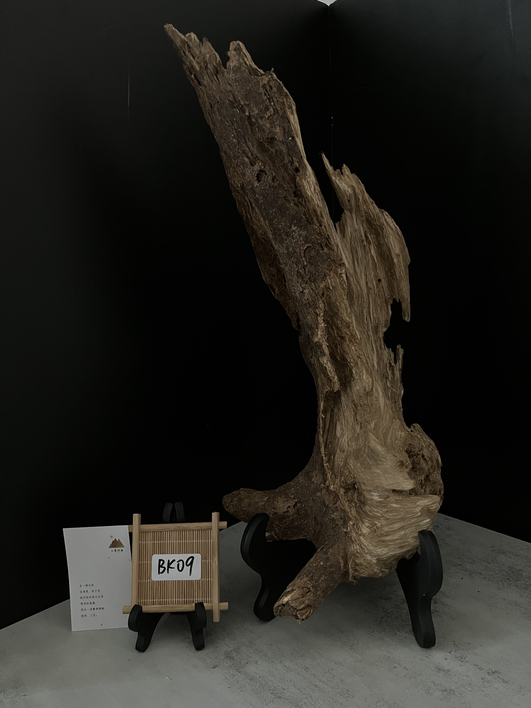 image_BC79E779-11F2-408F-A4AA-7E02372F1B0E_1761722640