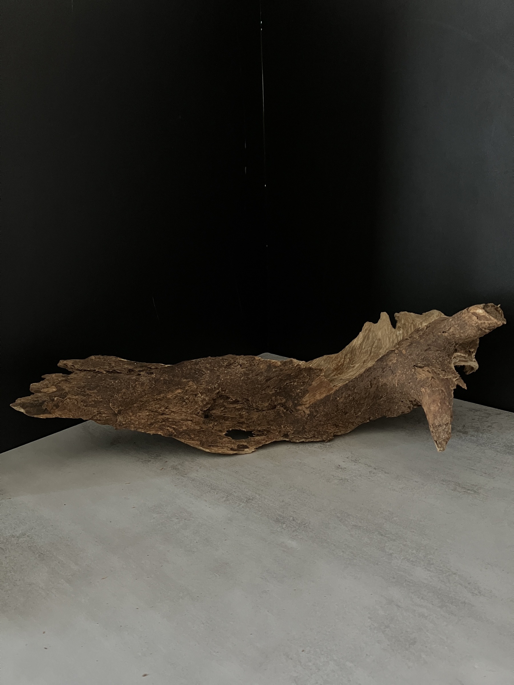 image_6FCB5D76-3356-4093-BEE4-43FF9E204CDC_1761722640