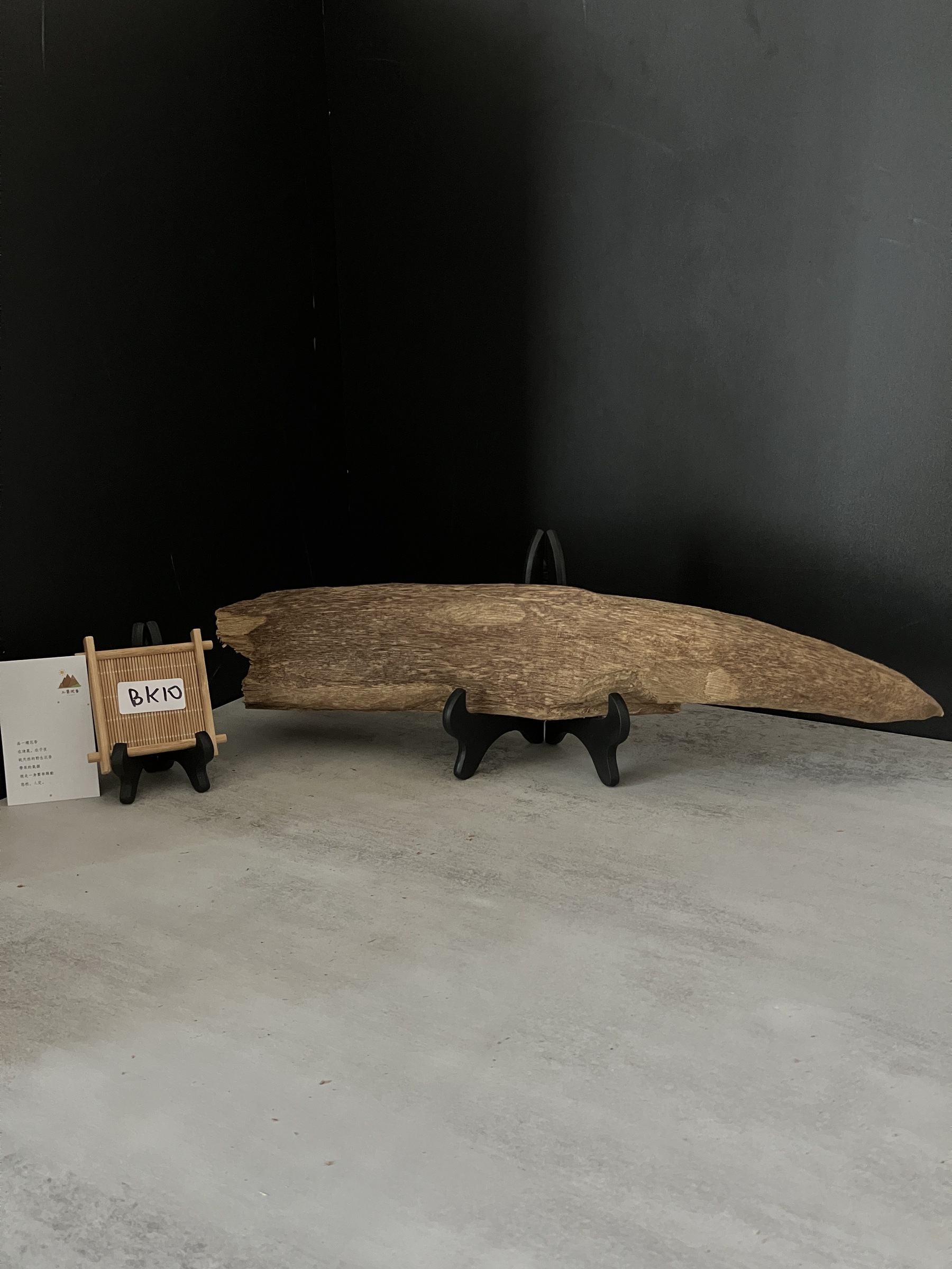 image_4C42B3AC-0307-40E4-9044-B62FD72D0EBB_1761722755