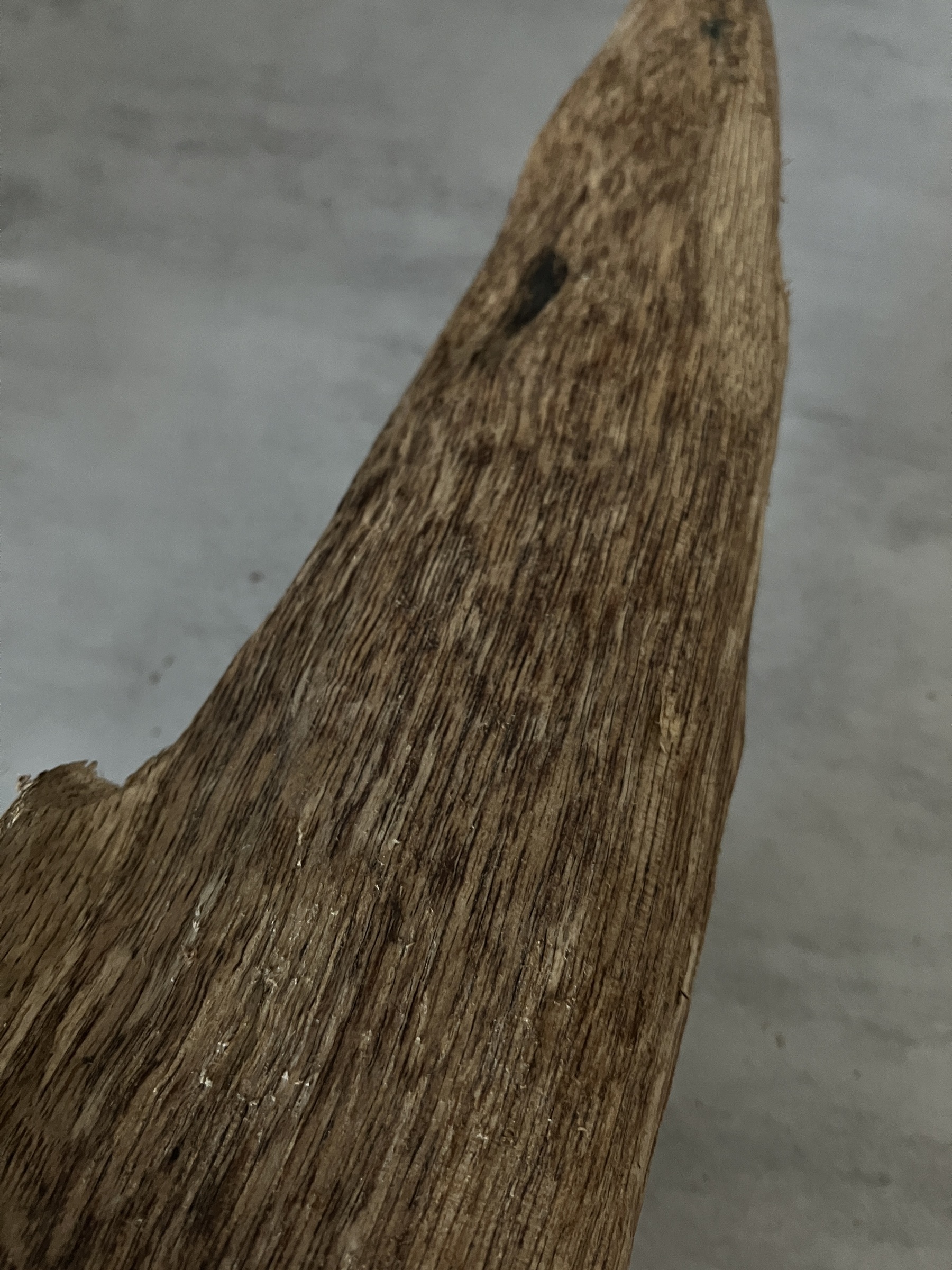 image_E630EFD5-87CB-4A3A-AE34-5A9FF9CC80D6_1761722755