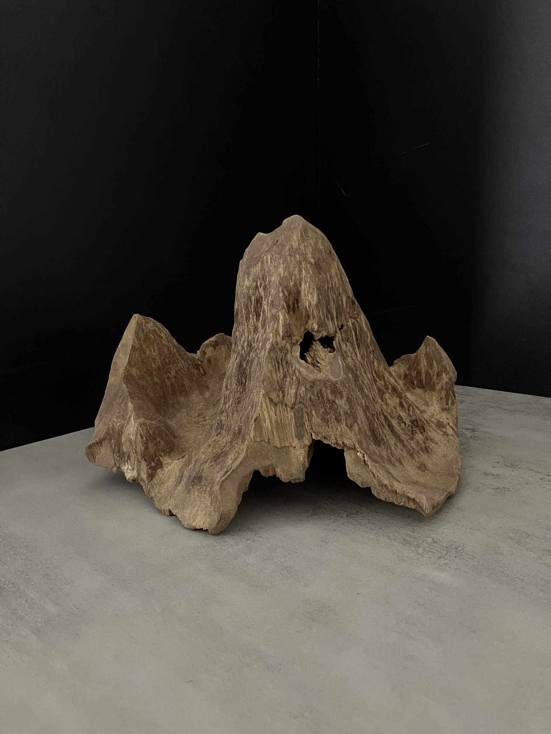 image_F45CA2E1-195E-45E5-83D3-B90A57DDD043_1762409750