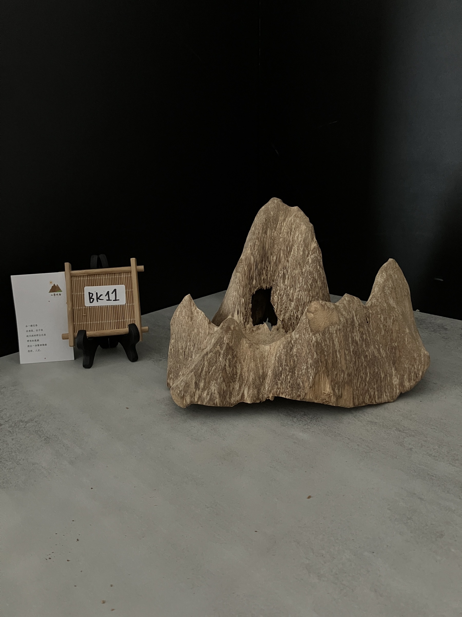 image_ECDA8771-B5C8-475C-8B72-0EEE51BA174B_1762409750