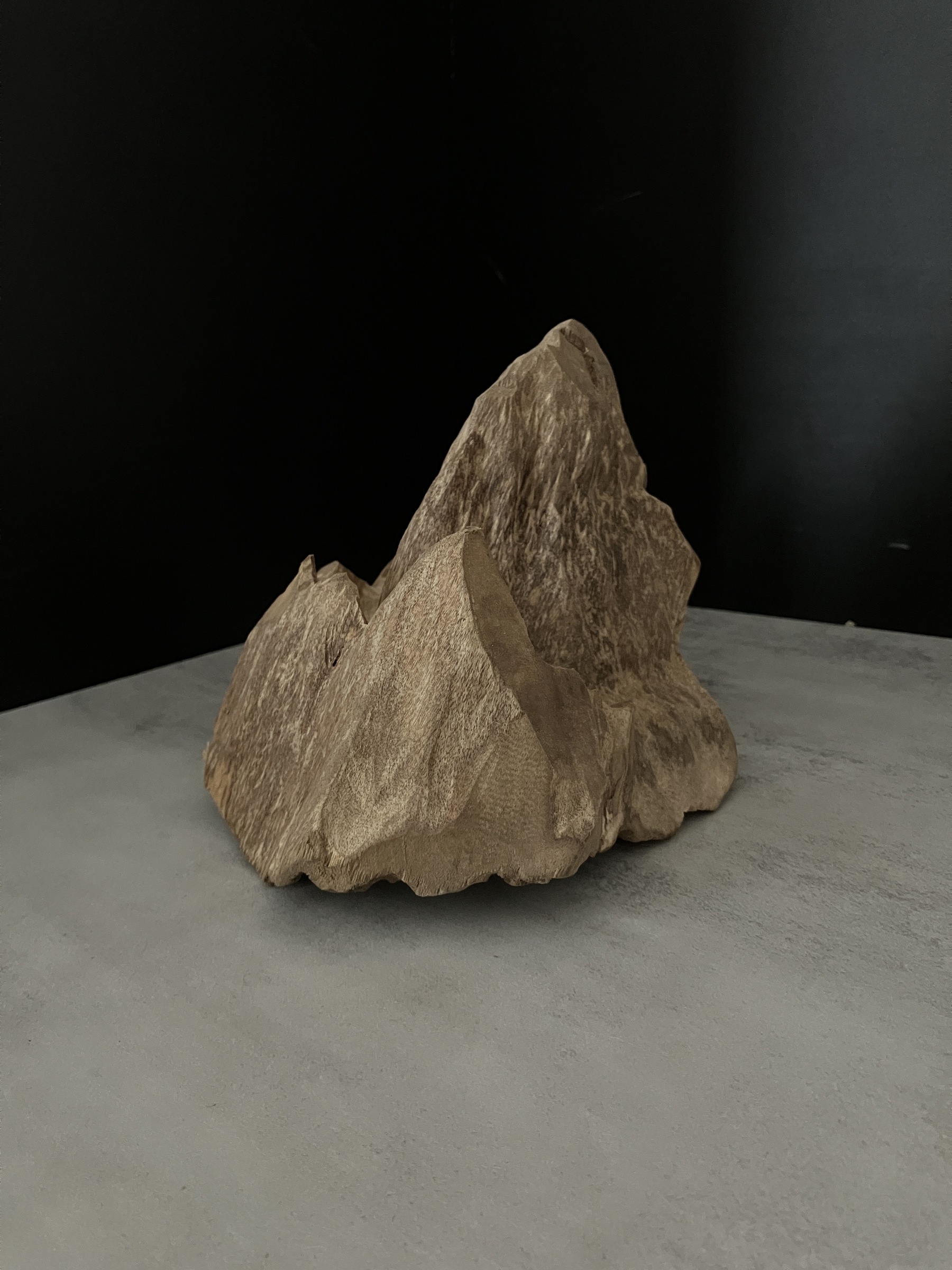 image_46AAD7CA-7D4D-4BAE-ADB0-00AF18EC75F2_1762409750