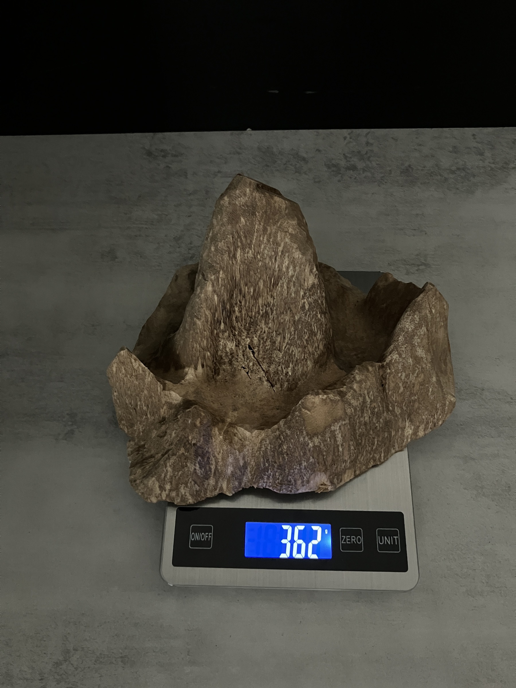 image_38E1027E-ADEA-404E-A718-292369461599_1762409750