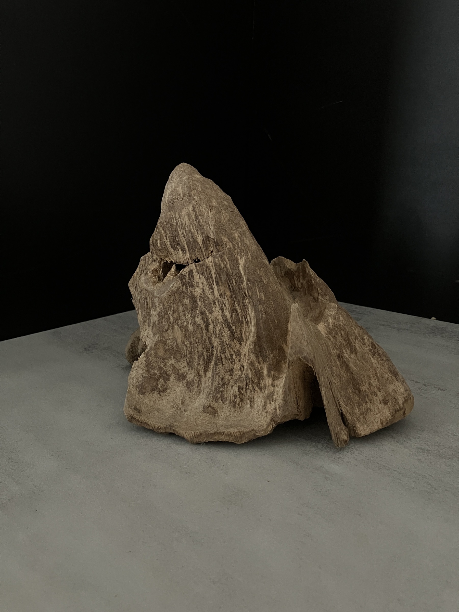 image_03827A04-6608-4D43-A17F-9CAFD06AE64B_1762409750