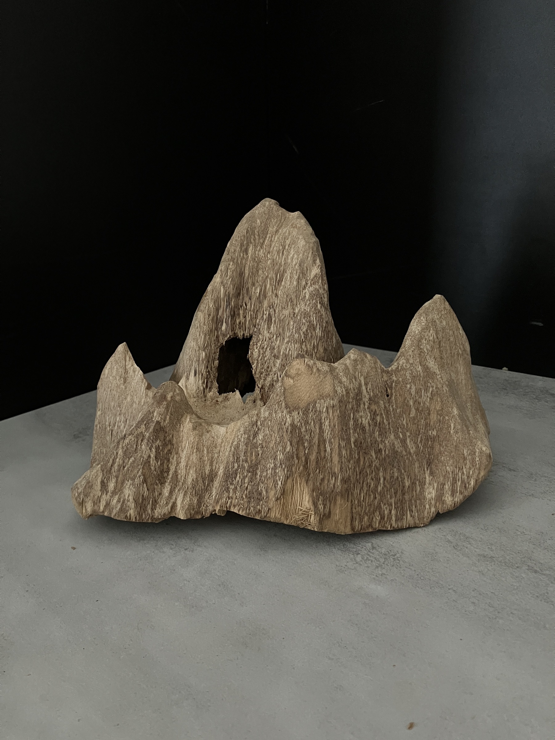 image_B7B11EF3-8C83-4F62-9F04-770FD5477EF4_1762409750