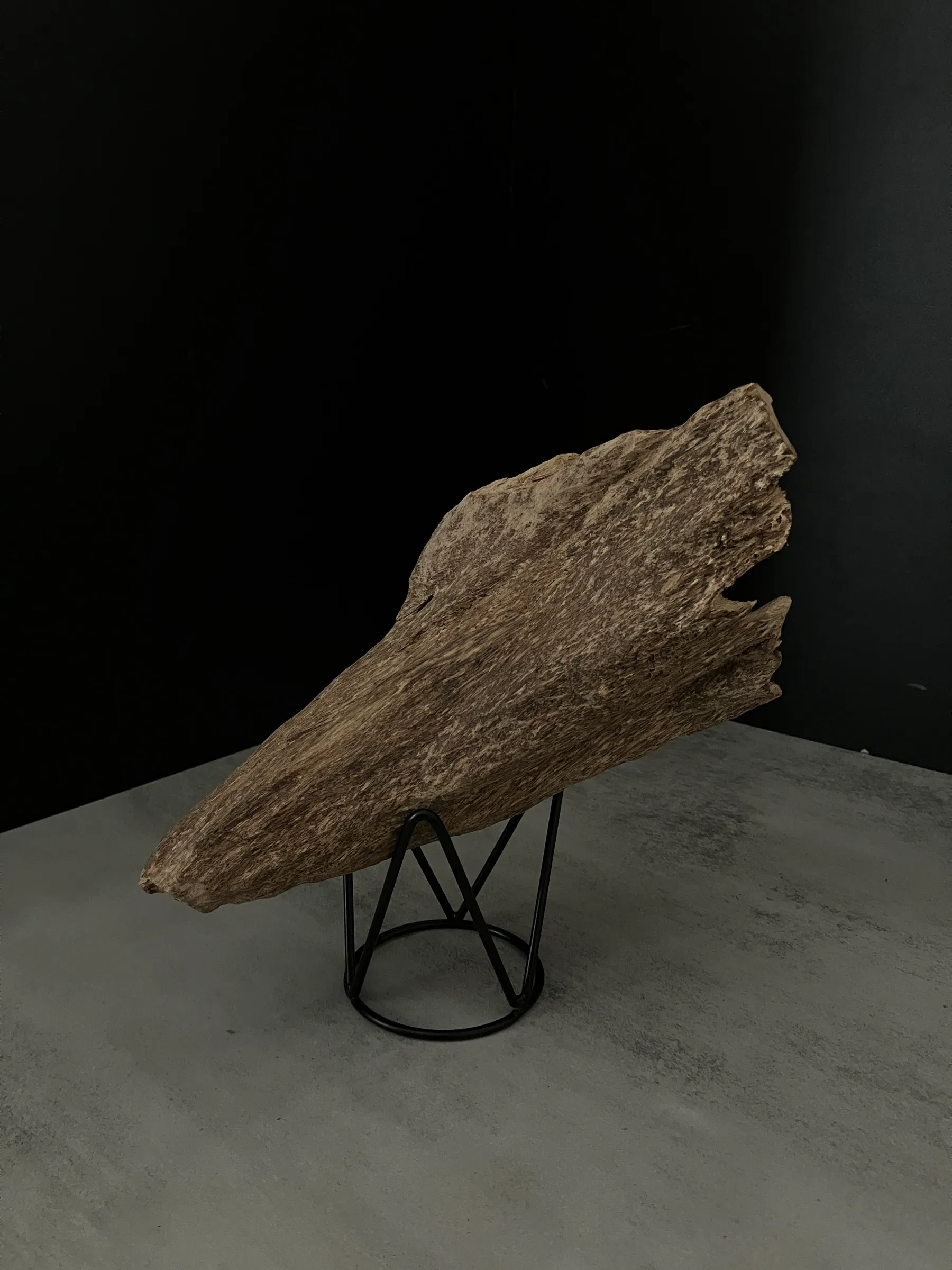 image_AA4796FA-27B1-46BC-9AAF-D305EFBBF79E_1762409894