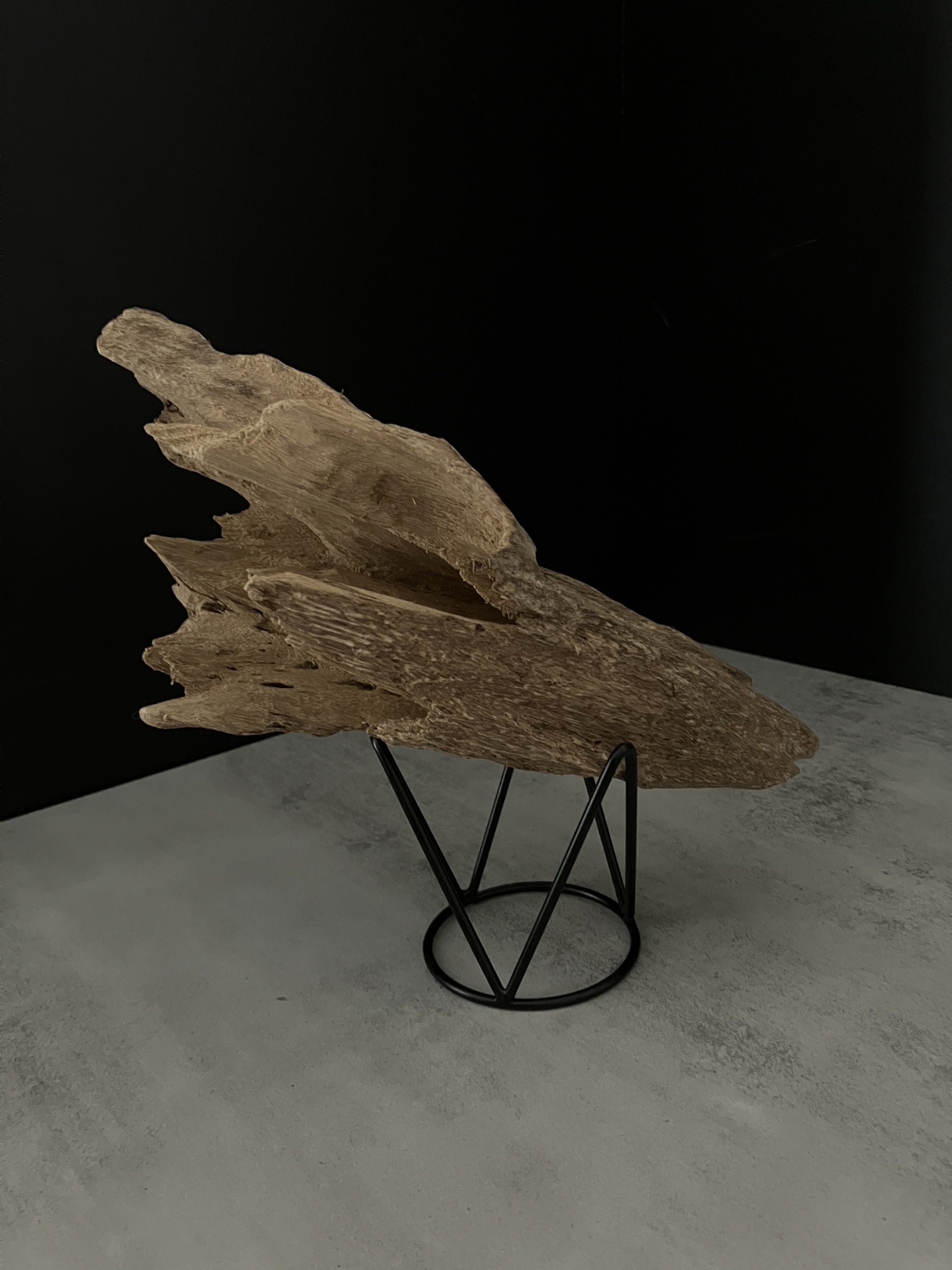 image_1B540A59-F49E-4414-9DEA-80CBBA10567C_1762409894