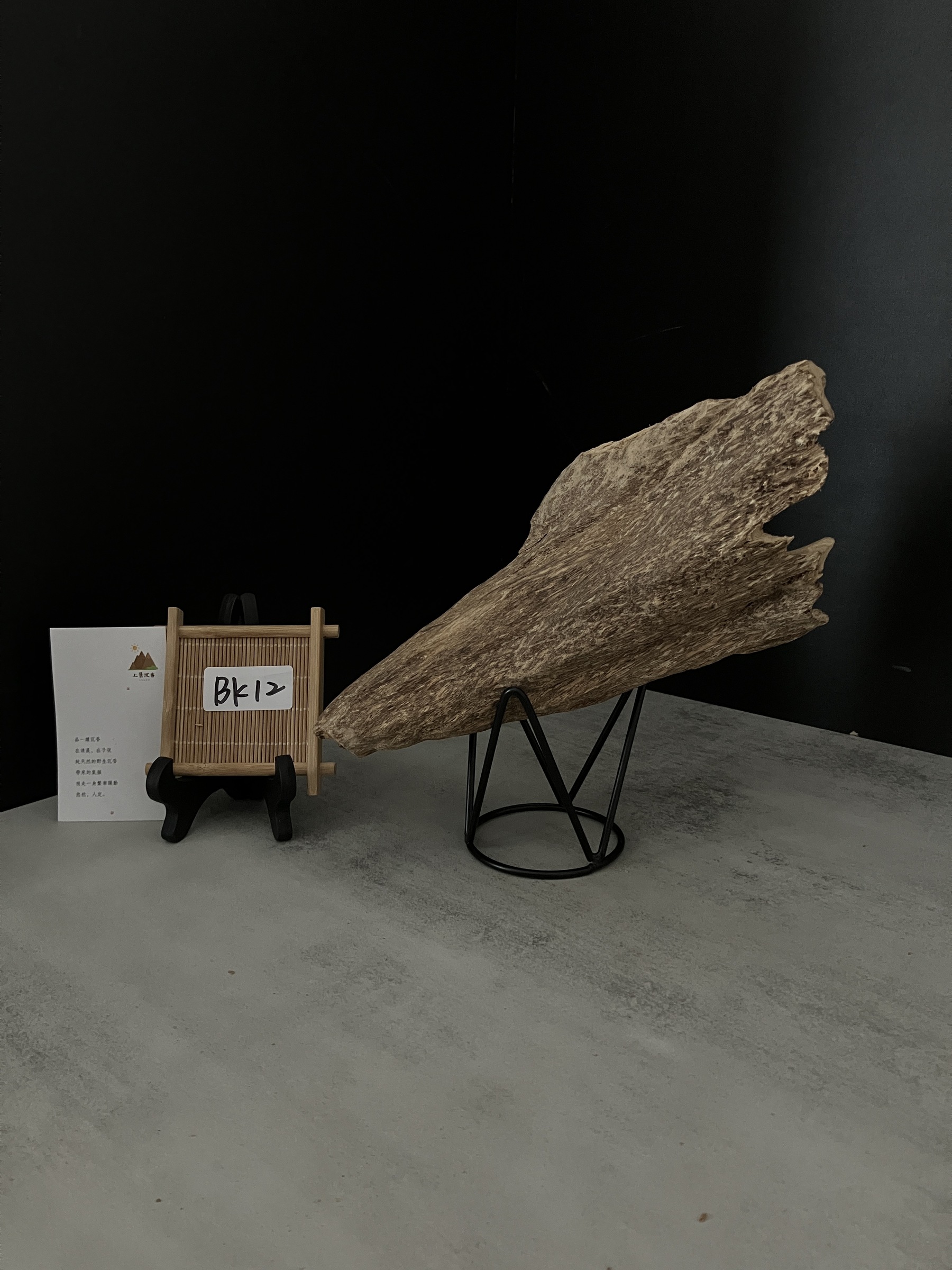 image_FC3B5703-DC64-4D4F-96F4-679E5678A45E_1762409894