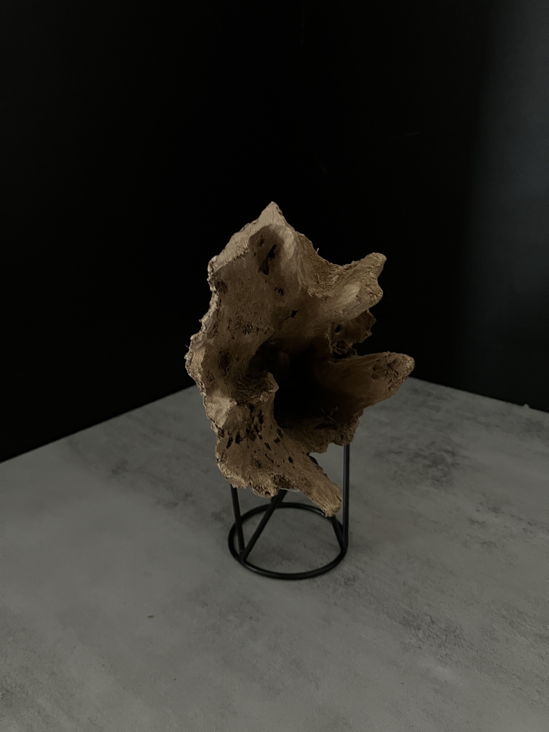 image_EB43077A-81EE-4578-901A-A84F4E33B8A1_1762409894