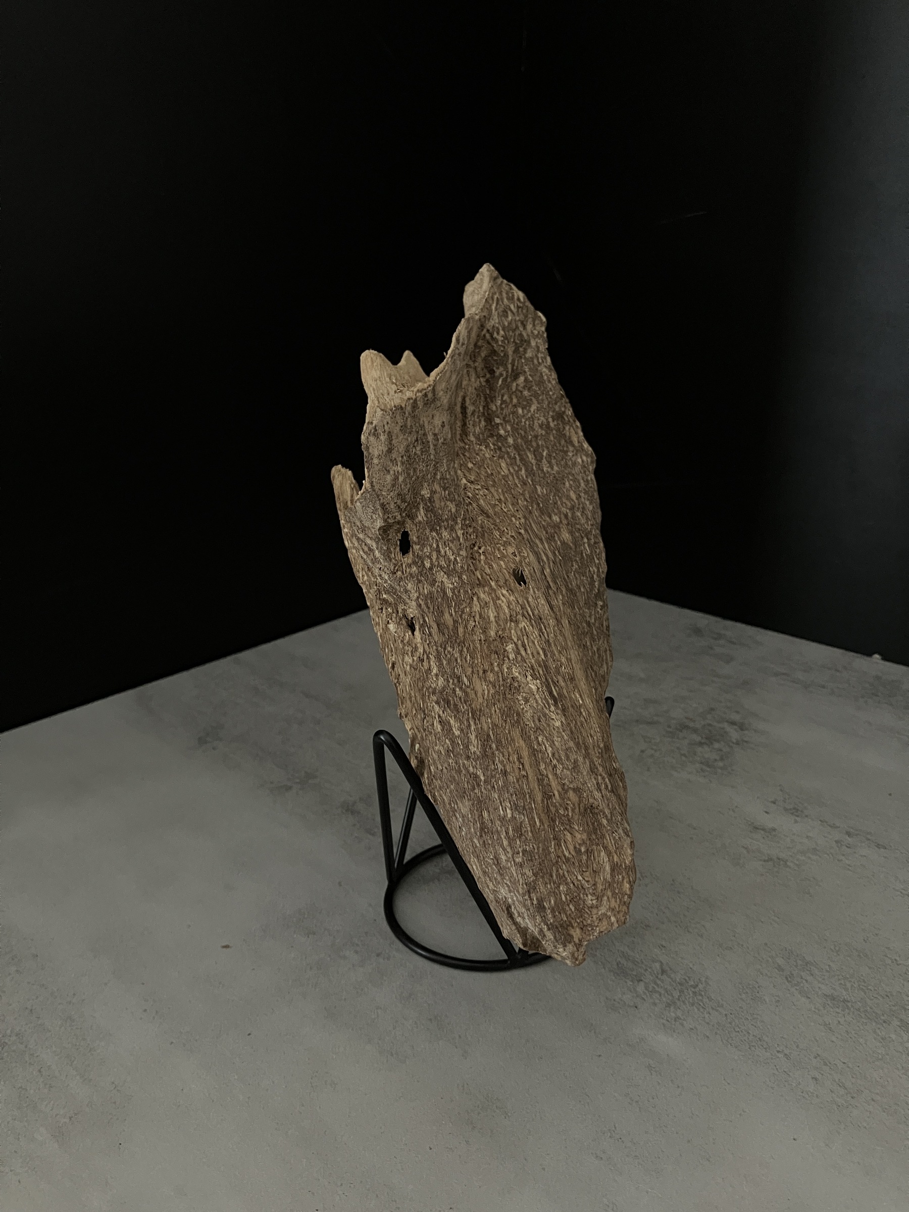 image_C63F05BF-CAA6-4CB1-A49D-A16BBA9987FB_1762409894