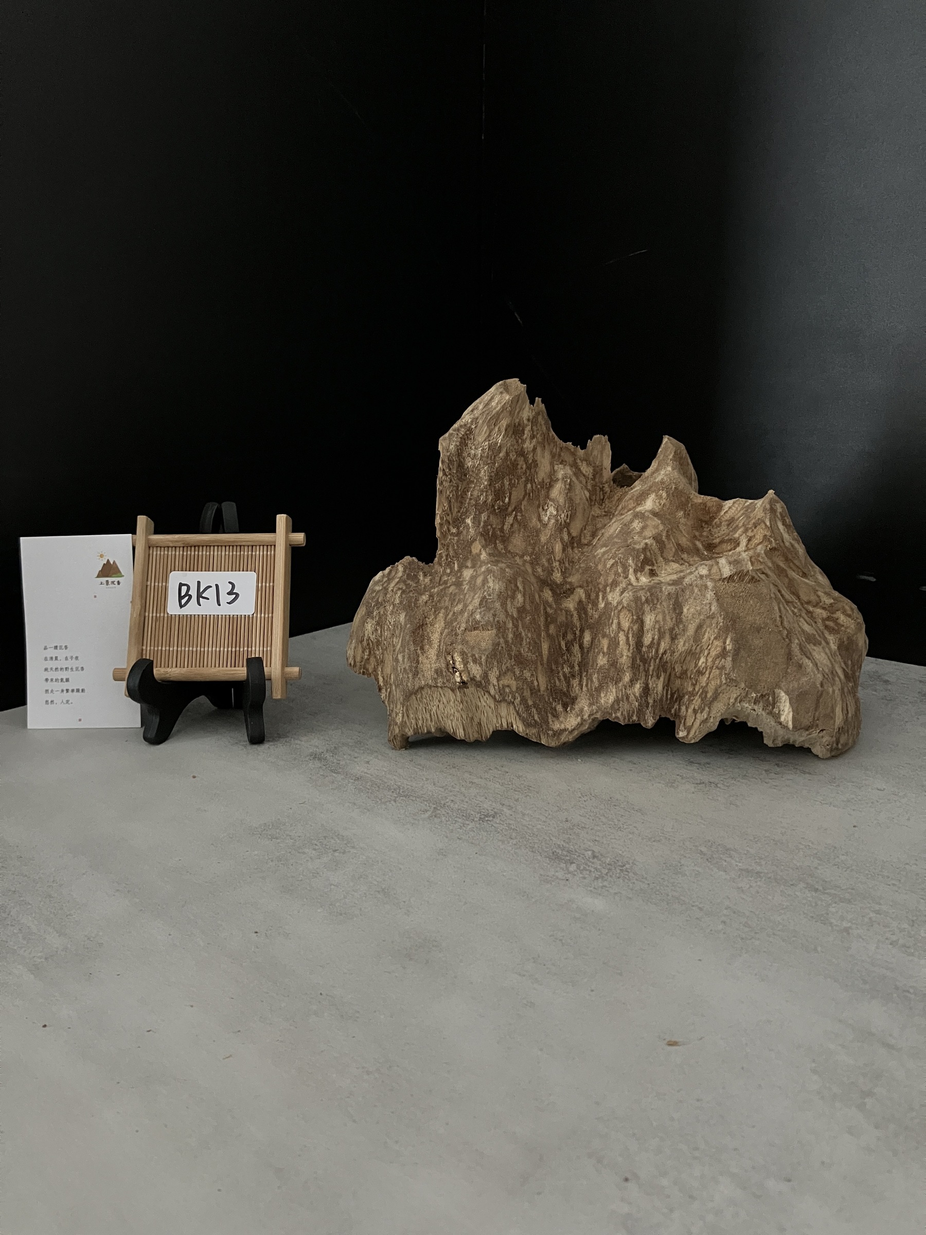 image_600D046C-F59E-4477-B824-ABC9AEEC8E7E_1762409990