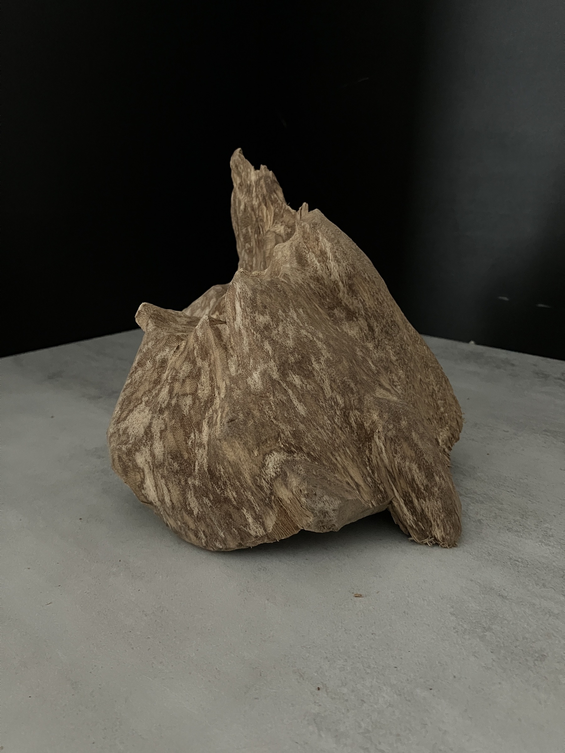 image_E8F9DB0C-210A-4116-B421-881BAEABBDA7_1762409990