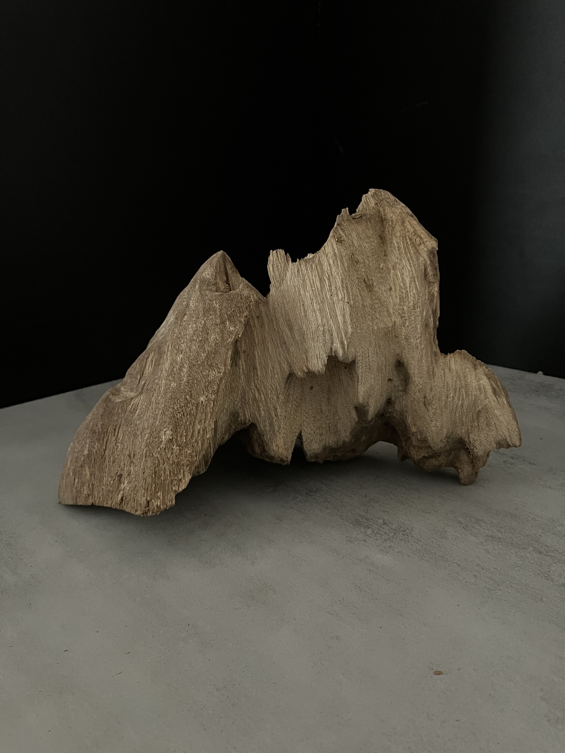 image_7FA62948-B0A1-4599-8C05-FE62B7437F2D_1762409990