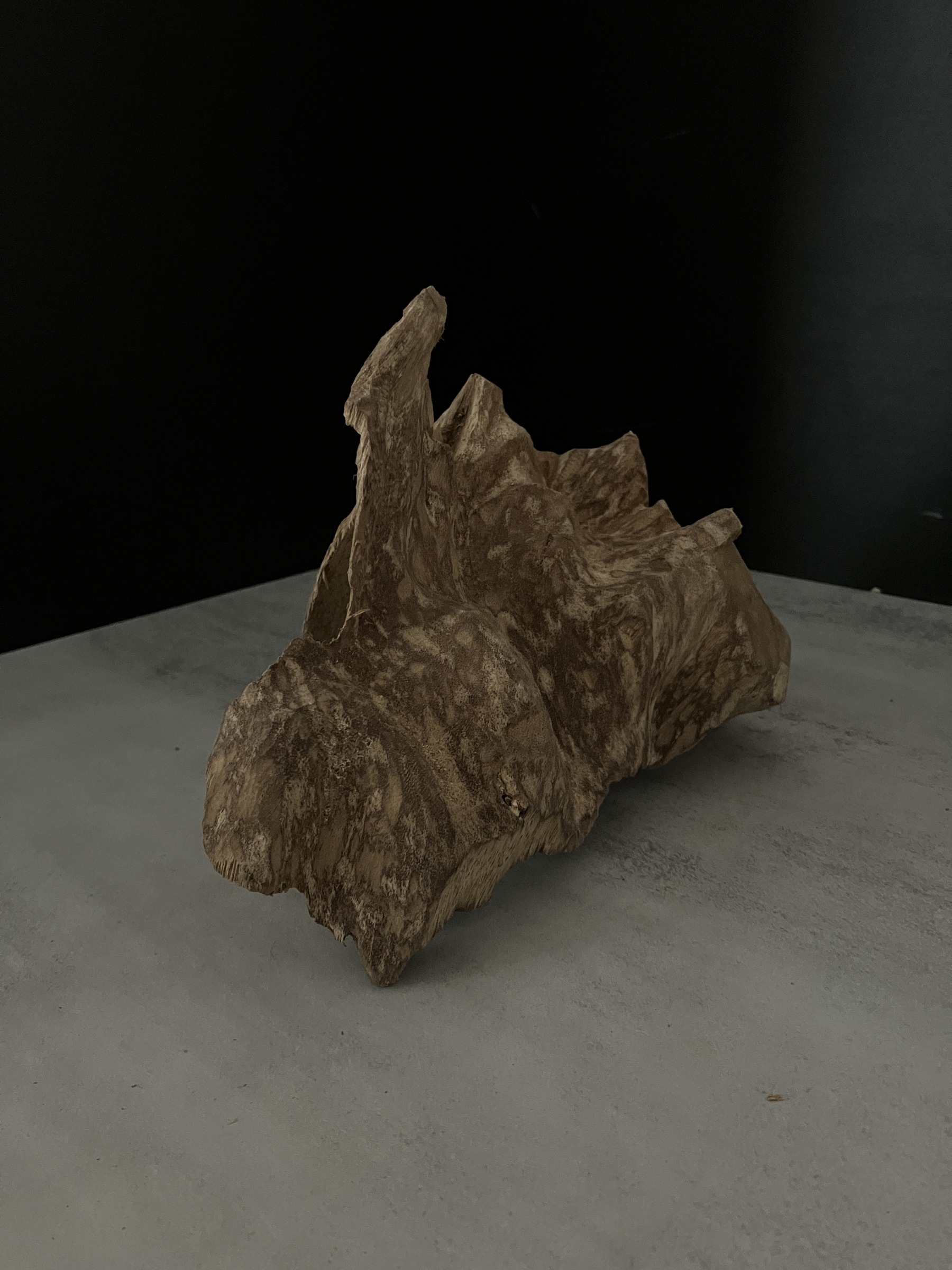 image_2526E0EB-54E5-4BA0-8CEB-5D5FB3AD3A57_1762409990