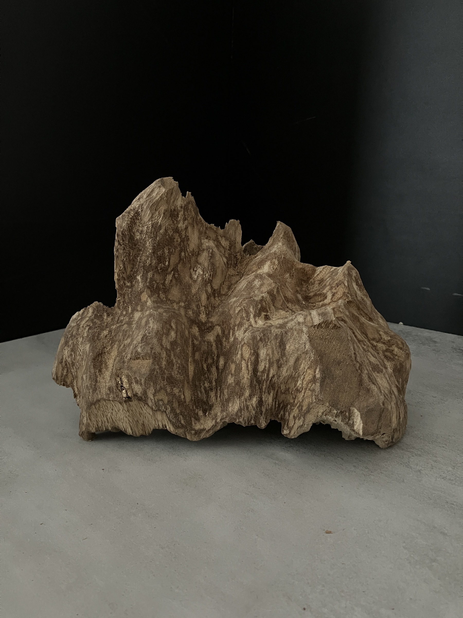 image_977112F2-28FB-4220-BB81-46E2F999BFDF_1762409990