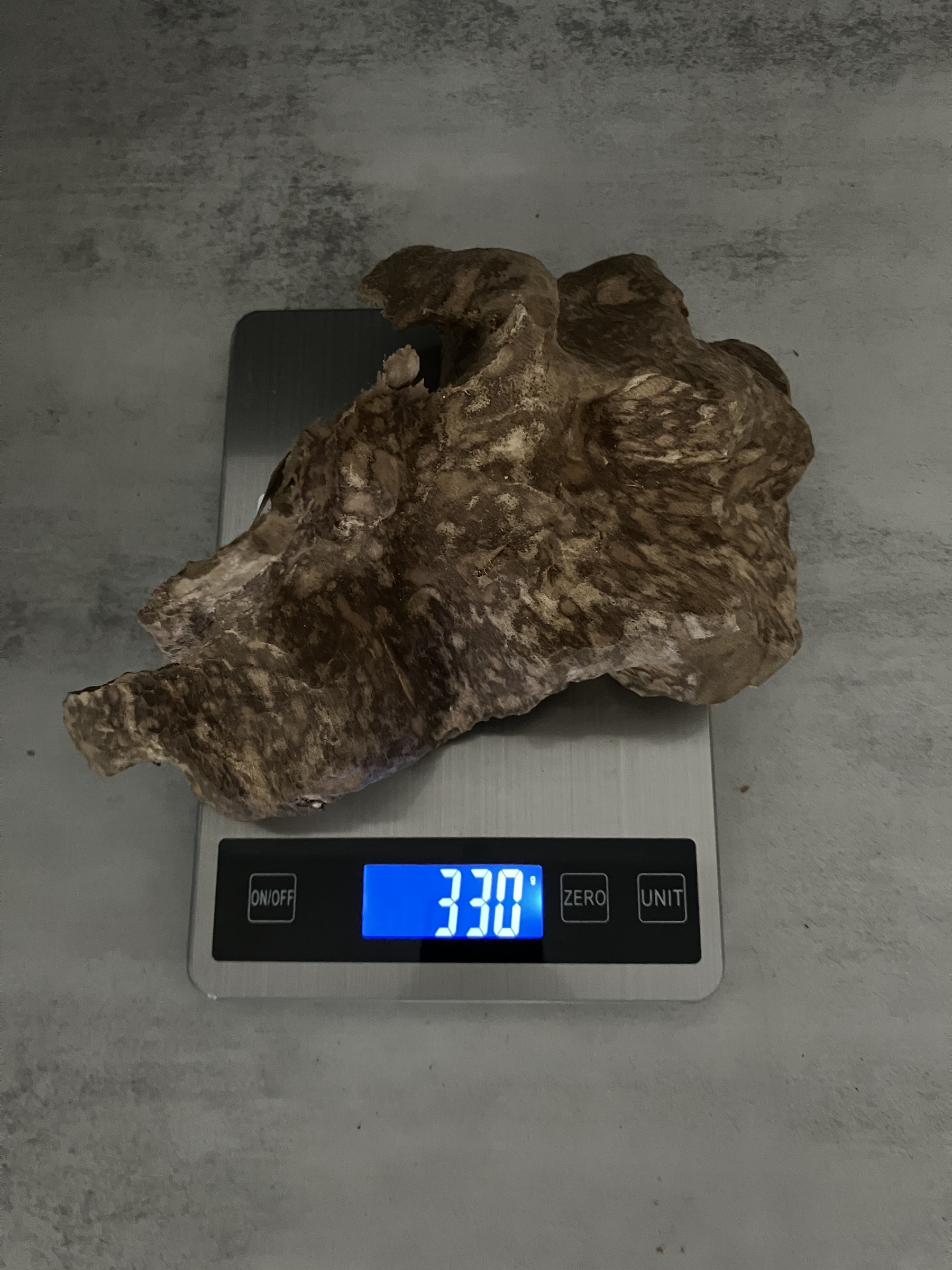 image_33ED1181-4737-4FB1-9C5F-BE937289238F_1762409990