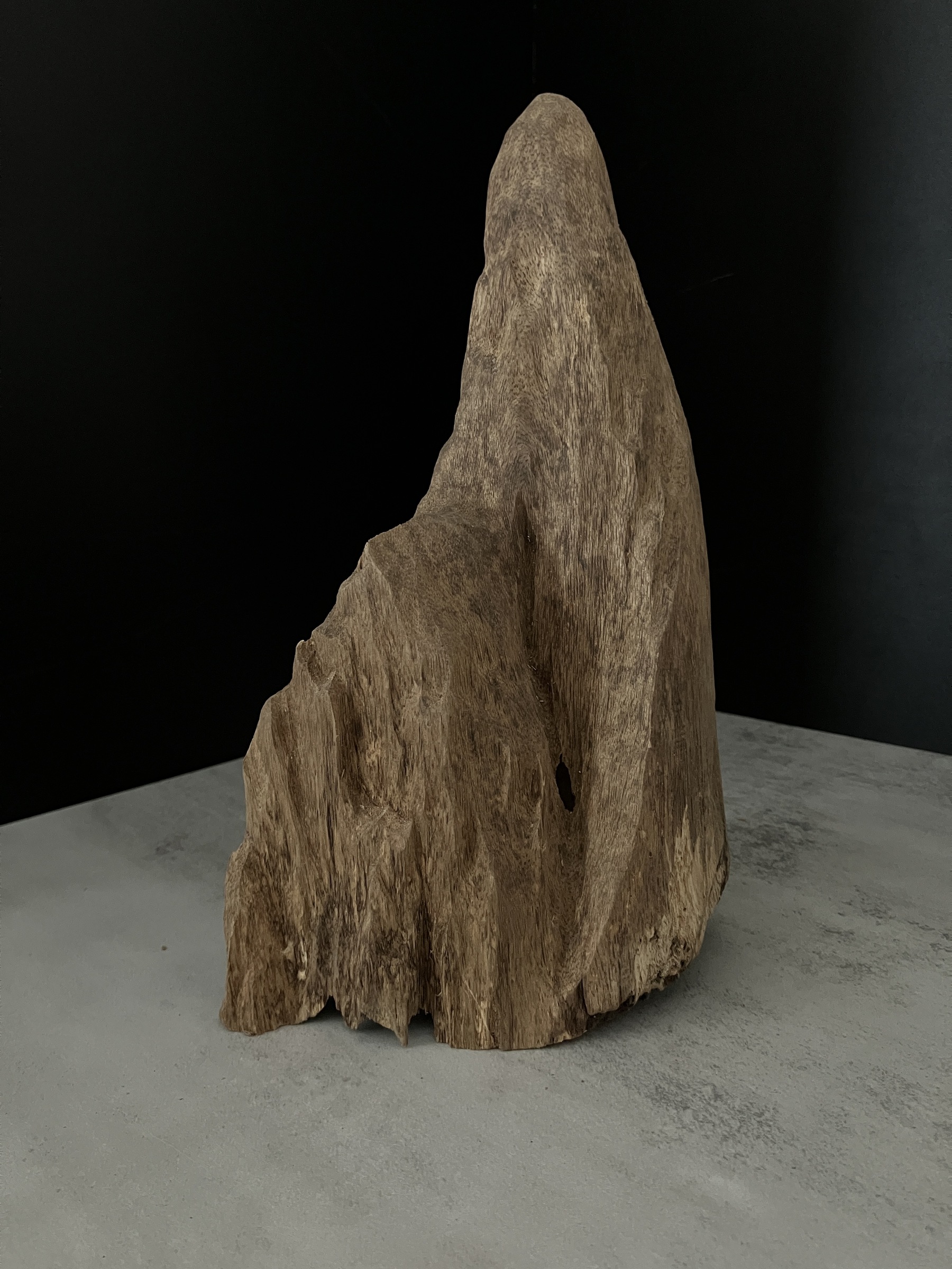 image_80F67231-F8CD-42D2-9192-9805655410EF_1762410144