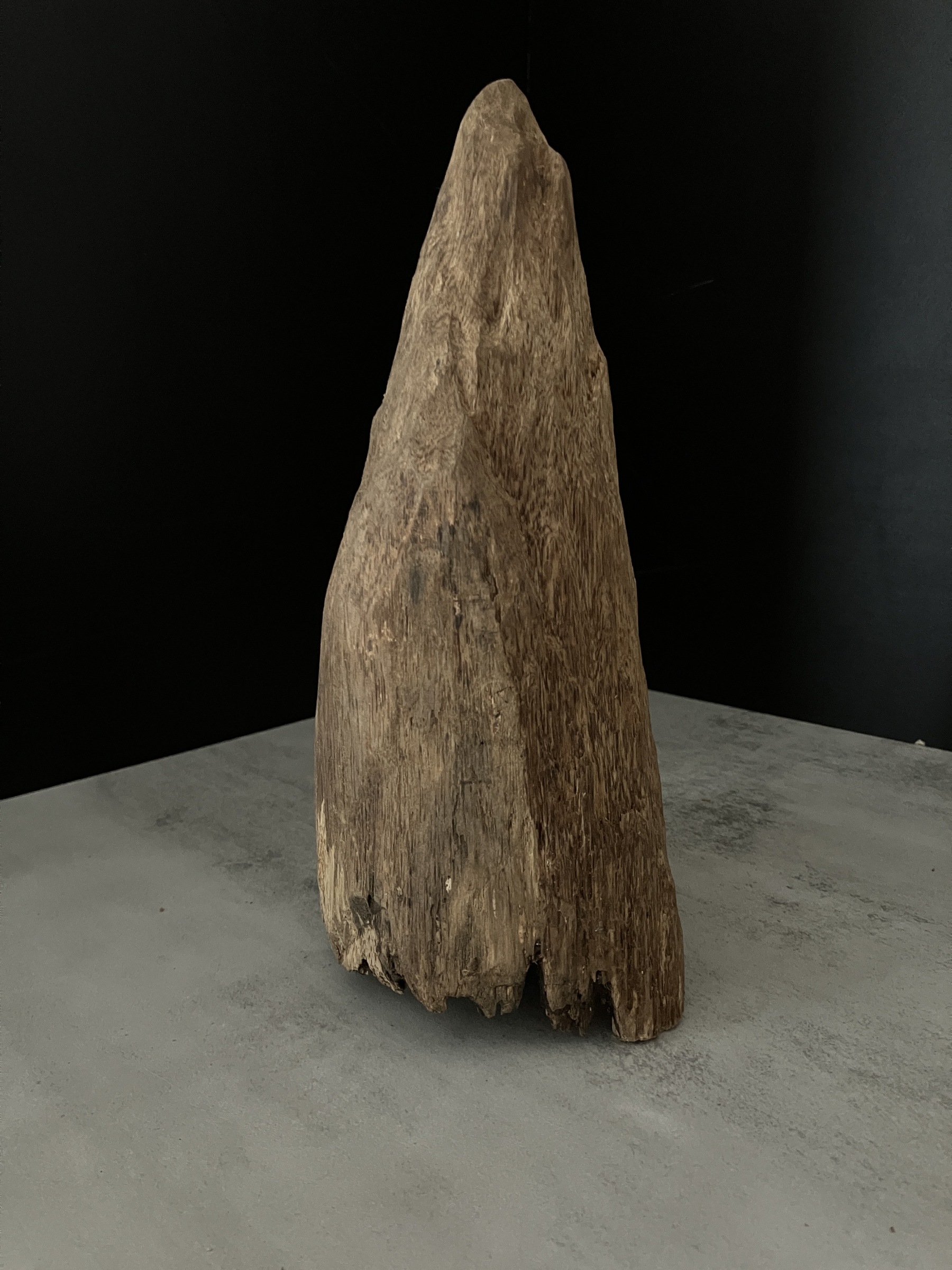 image_B4C21ACC-E956-42C2-9BE7-362F9423EB35_1762410144