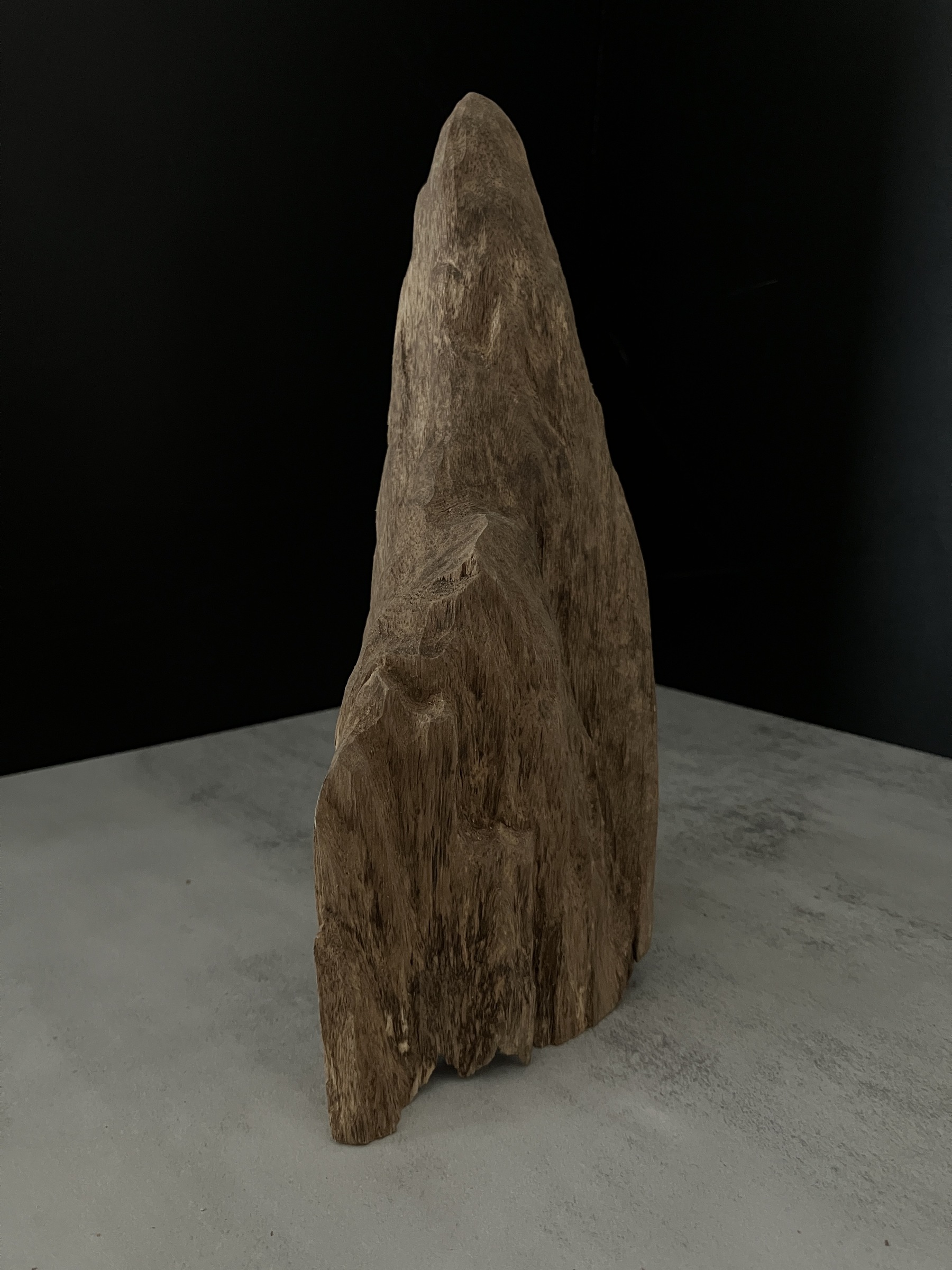 image_54986807-F8CA-4D73-8FD8-739C7746A742_1762410144