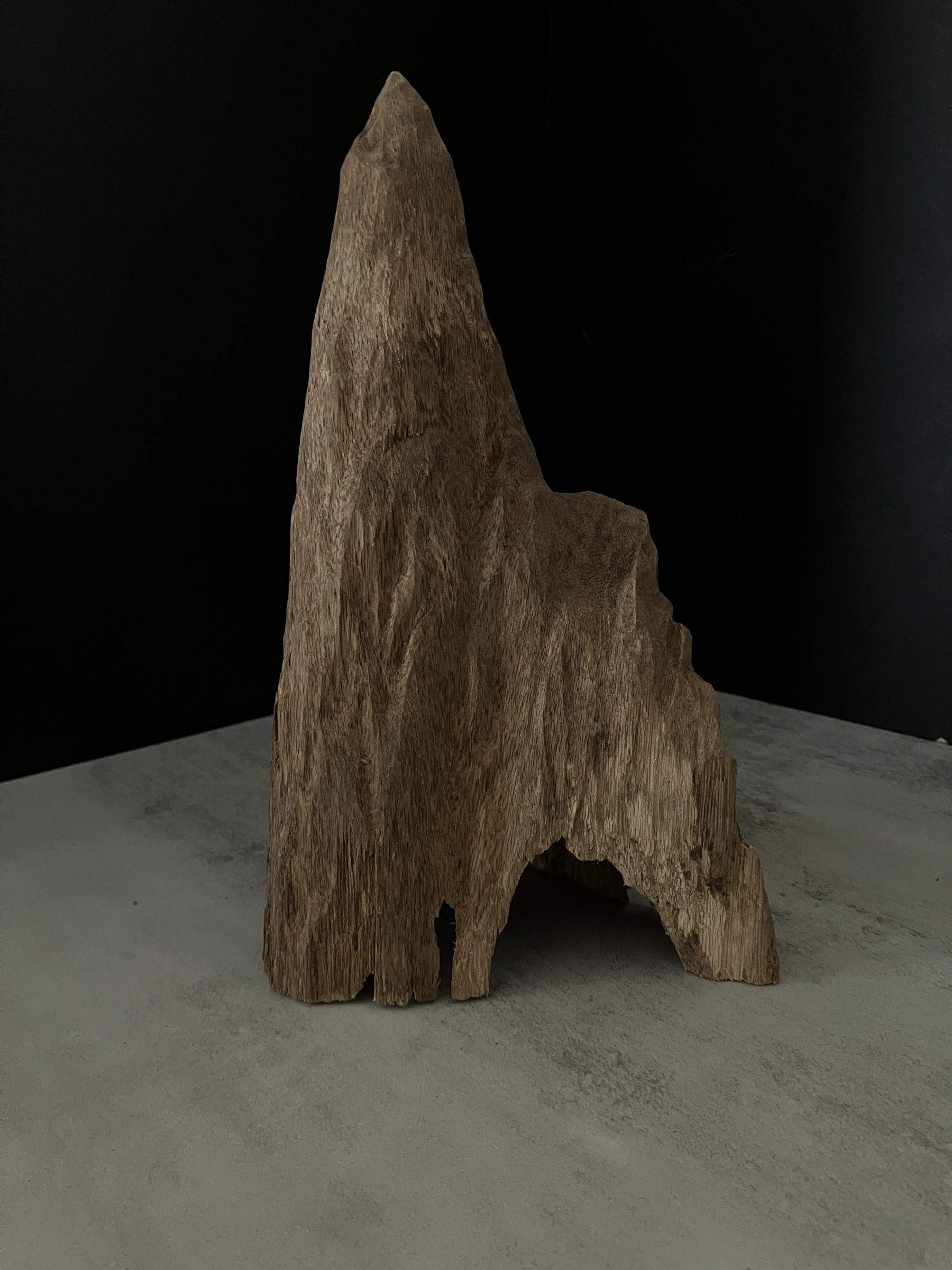 image_50568C79-937F-4128-A1C0-CD3DEDDFA3D6_1762410144