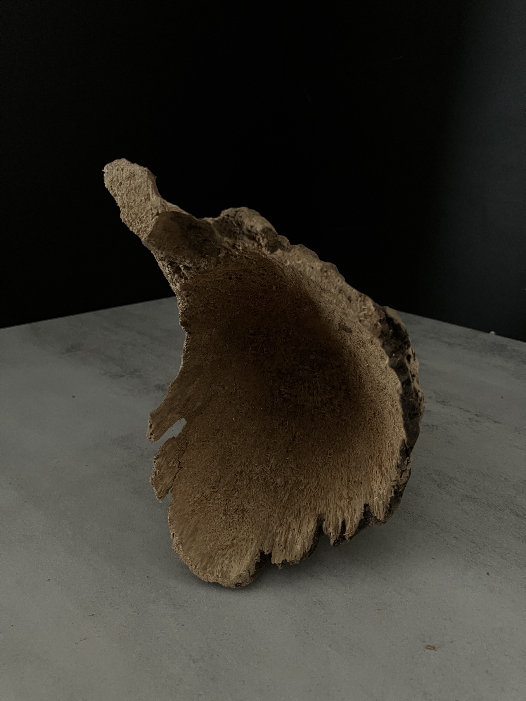 image_98CF86F1-9EA3-496F-8792-85B3128C04D2_1762410144