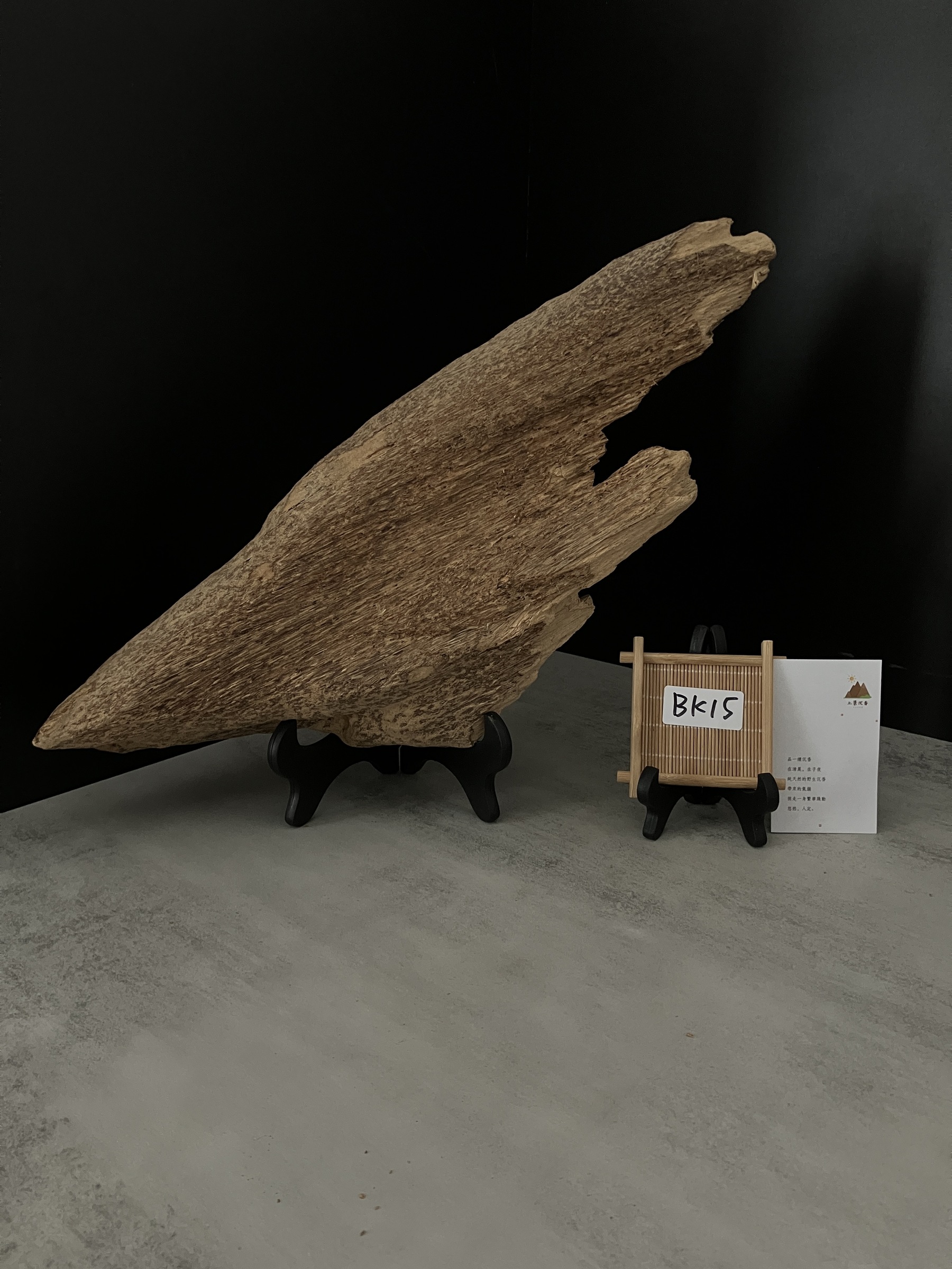 image_9AFB6CE0-A1D2-4B25-841C-E553A69B2869_1762410460