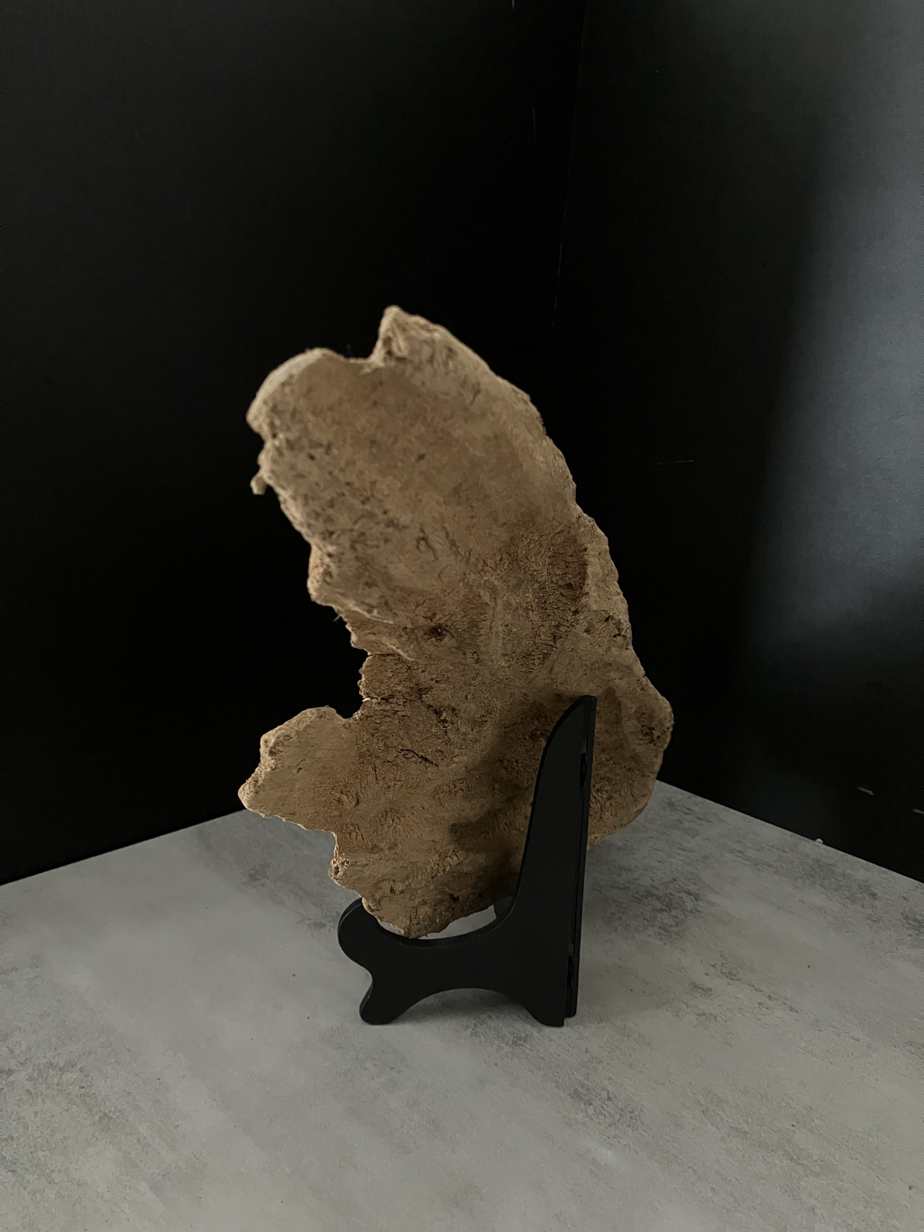 image_7D782670-4A26-4FE6-B740-6C7E7C027252_1762410460