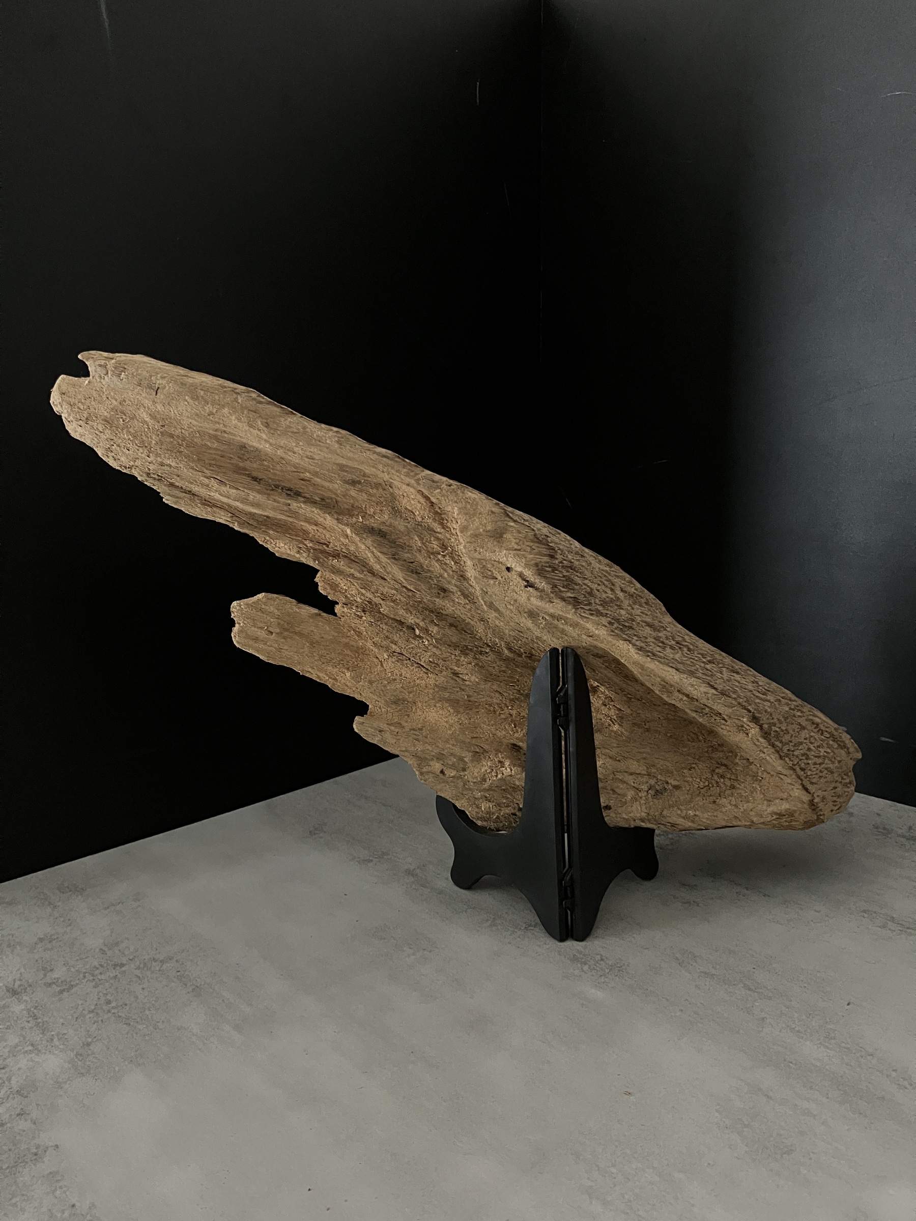 image_2C5D459F-9F82-40FE-9377-040AACF6AD0E_1762410460