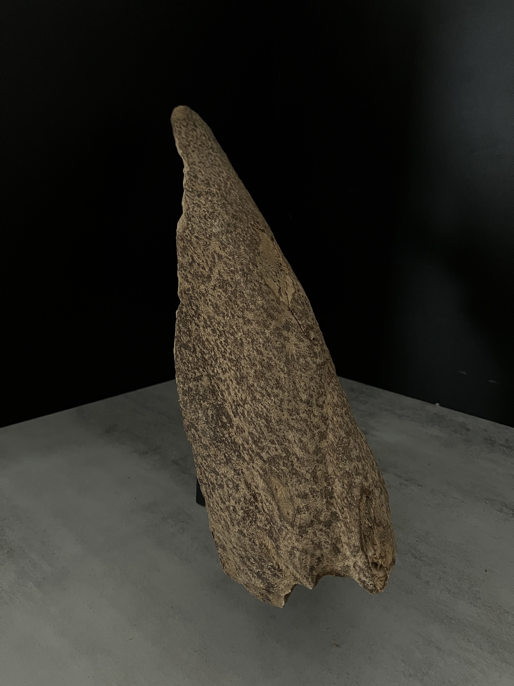 image_C1E8108A-A93A-4B99-846F-561CEC345084_1762410460