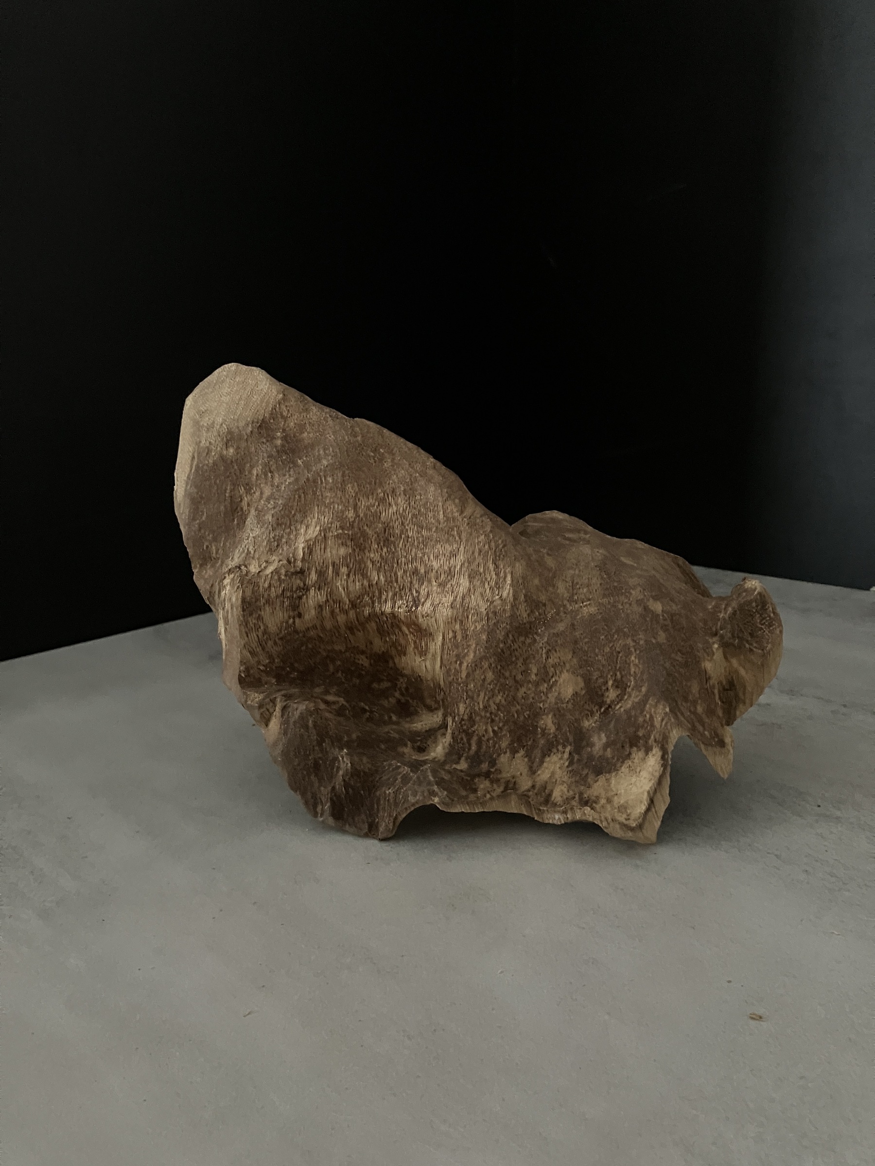 image_DC3F62D2-A9EC-46A8-9295-D9194647ED65_1762410606