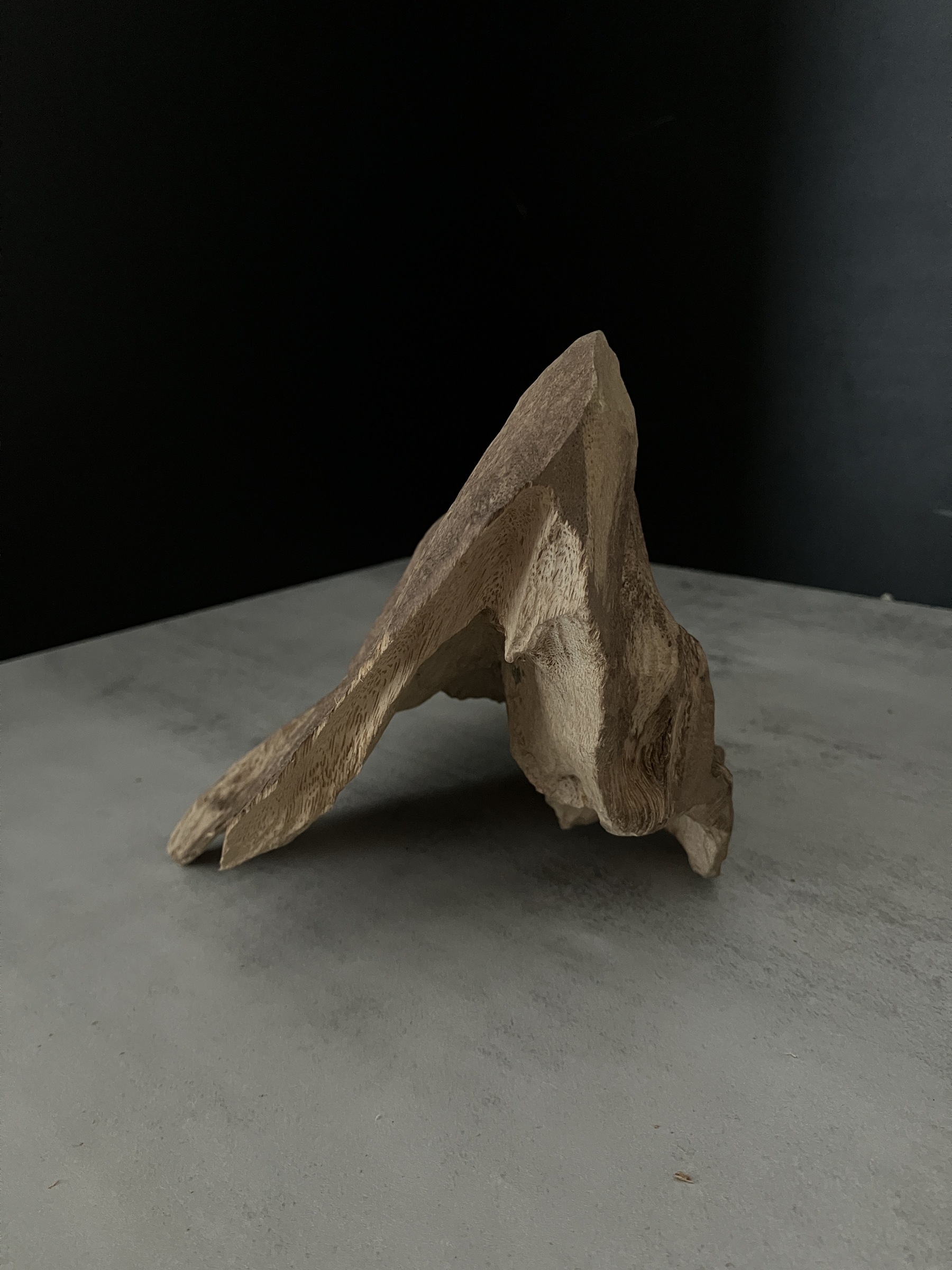 image_62717585-69FE-4D47-8103-E05B47D01715_1762410606