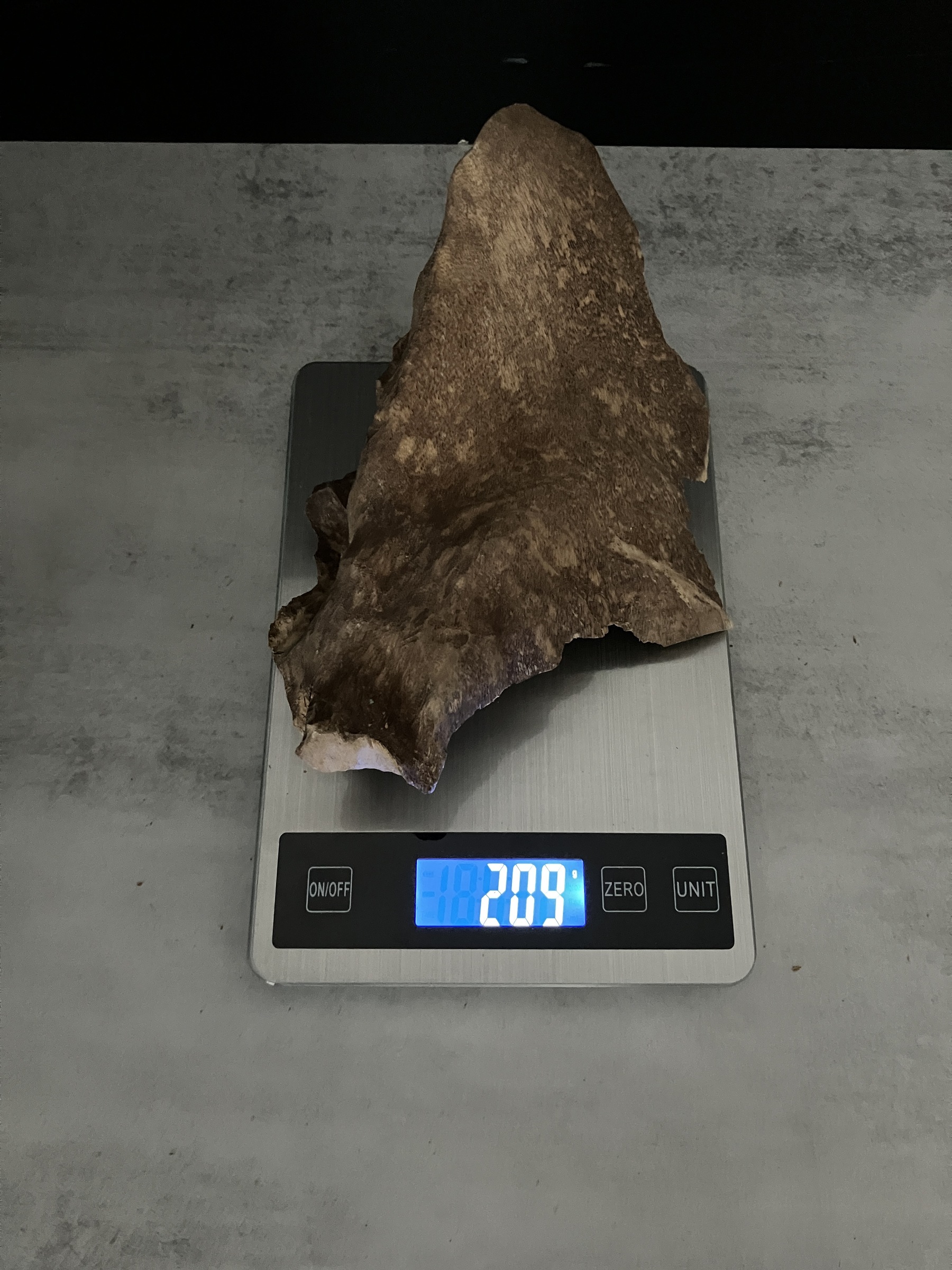 image_931F3BFB-40B6-496F-A65D-3B1FBA276FBB_1762410606