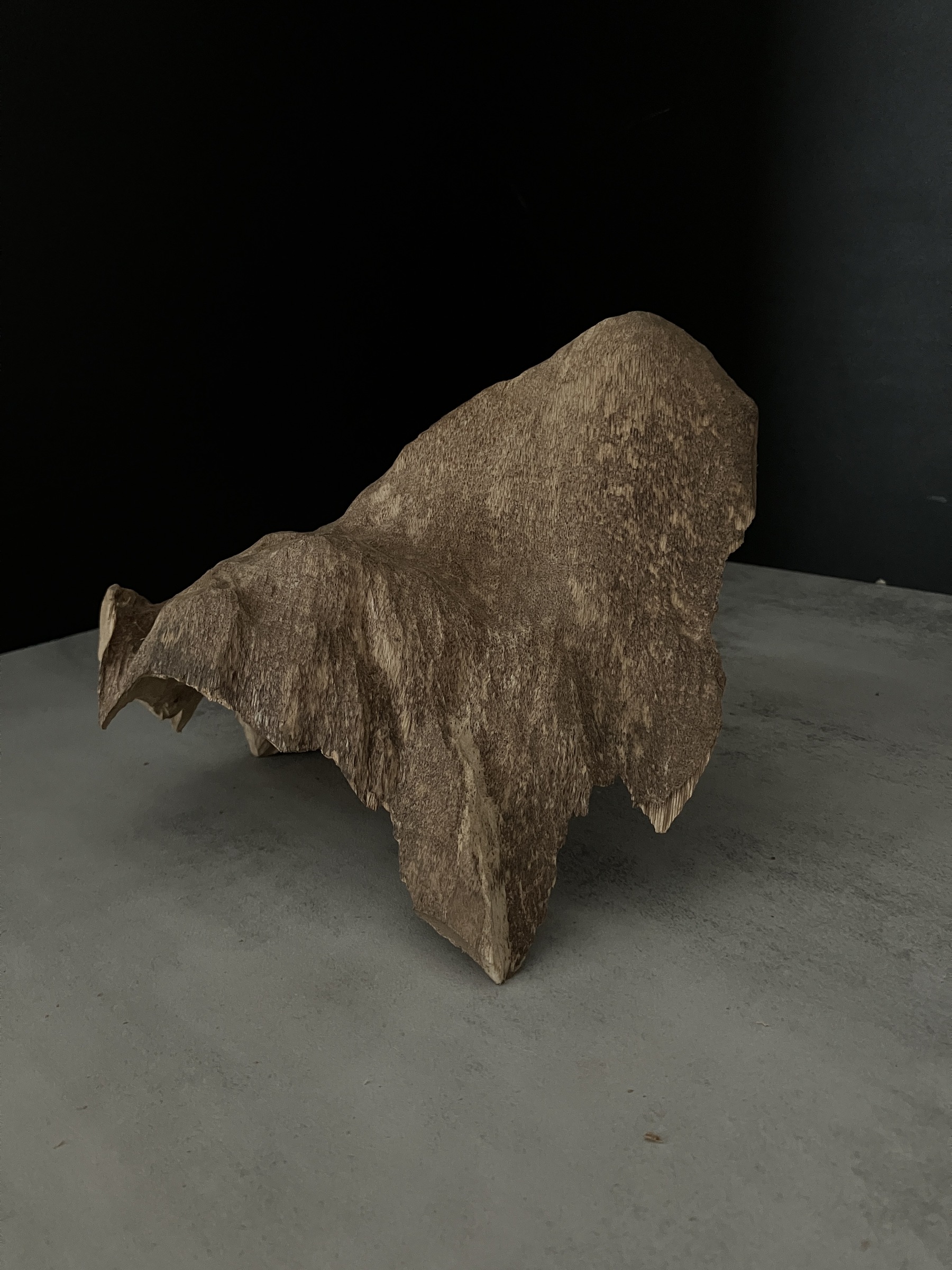 image_6685BC09-B8A3-4019-A0F7-0429EBFDB09E_1762410606