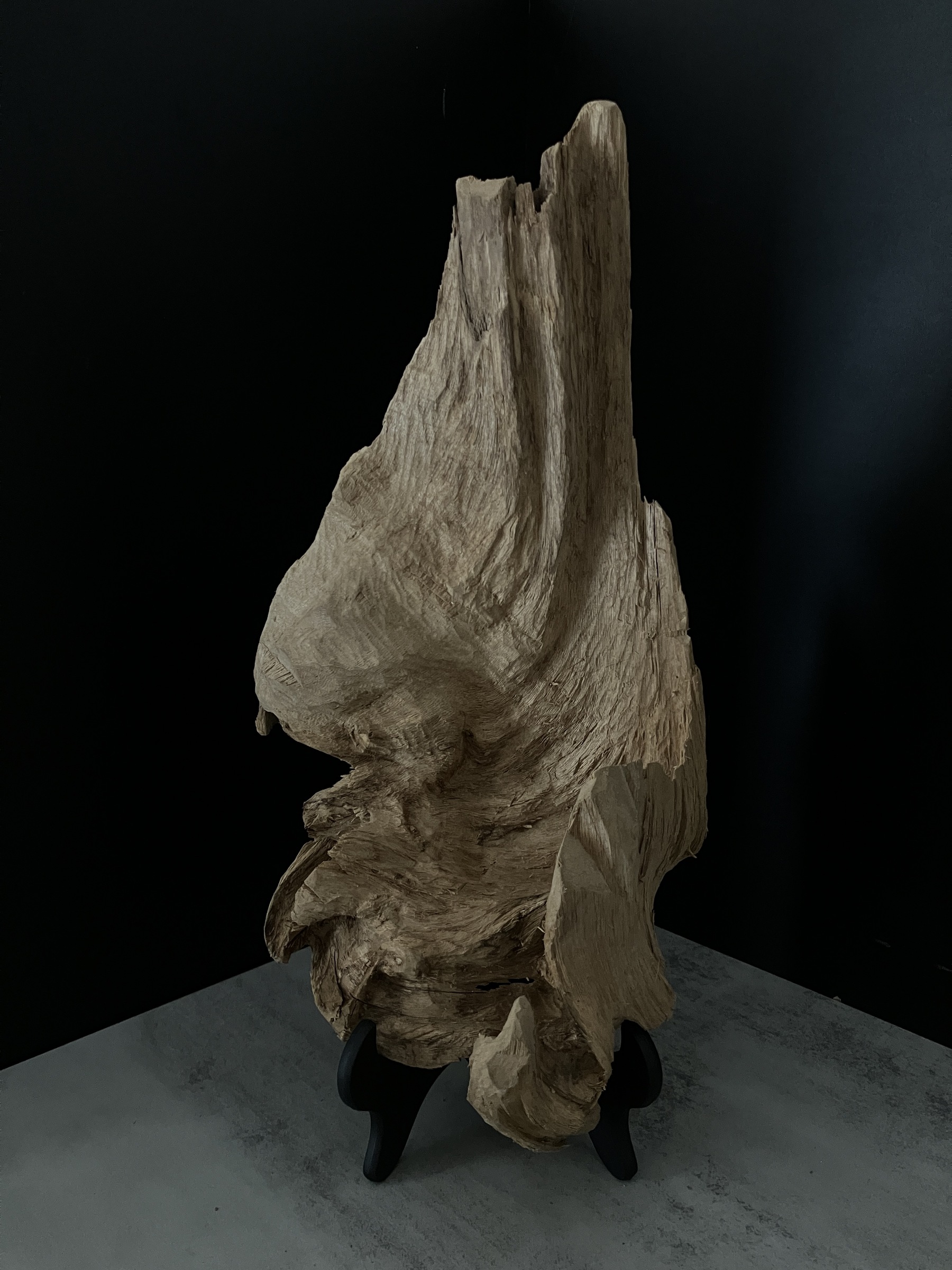 image_28F03401-3815-4805-A31A-9A711E2DD5EB_1762410781