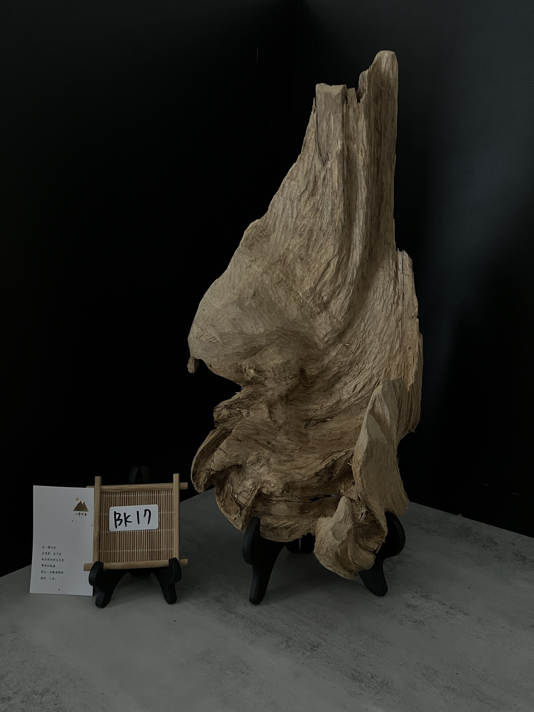 image_FBAF671C-9427-451A-A191-1DD56D1EBB6A_1762410781