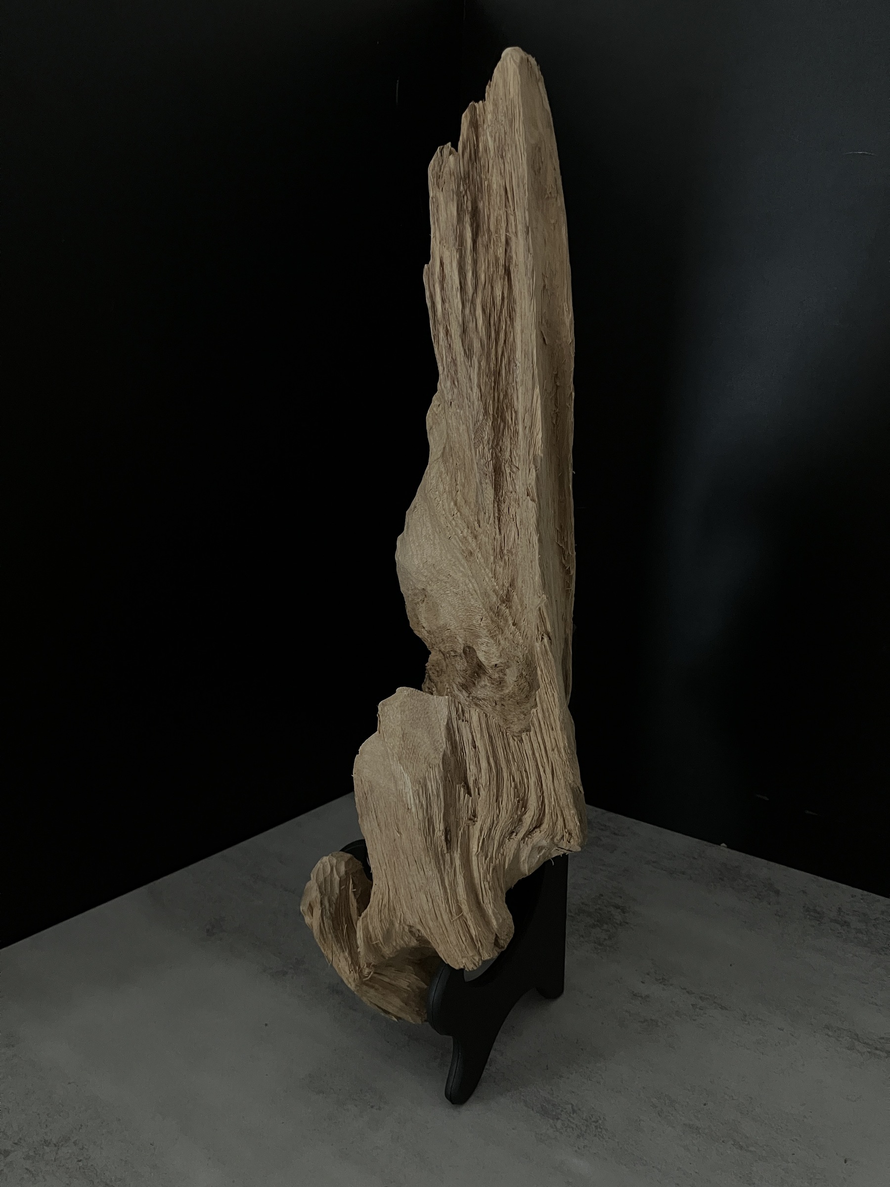 image_51366F47-2AF2-45B6-BC57-85BE37328B74_1762410781