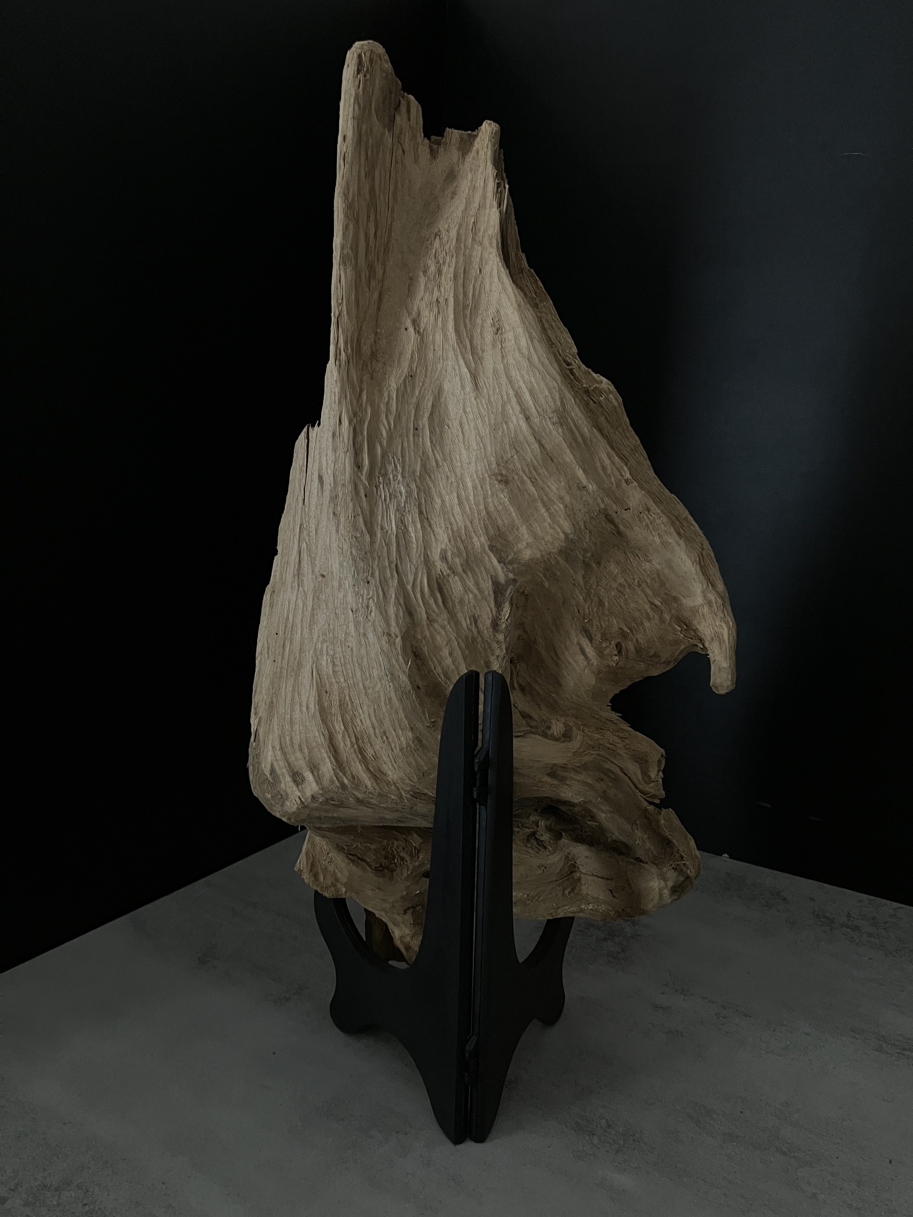 image_CF31777B-7EEA-4B9D-BE46-1EC5D5886594_1762410781